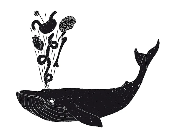 whale.jpg