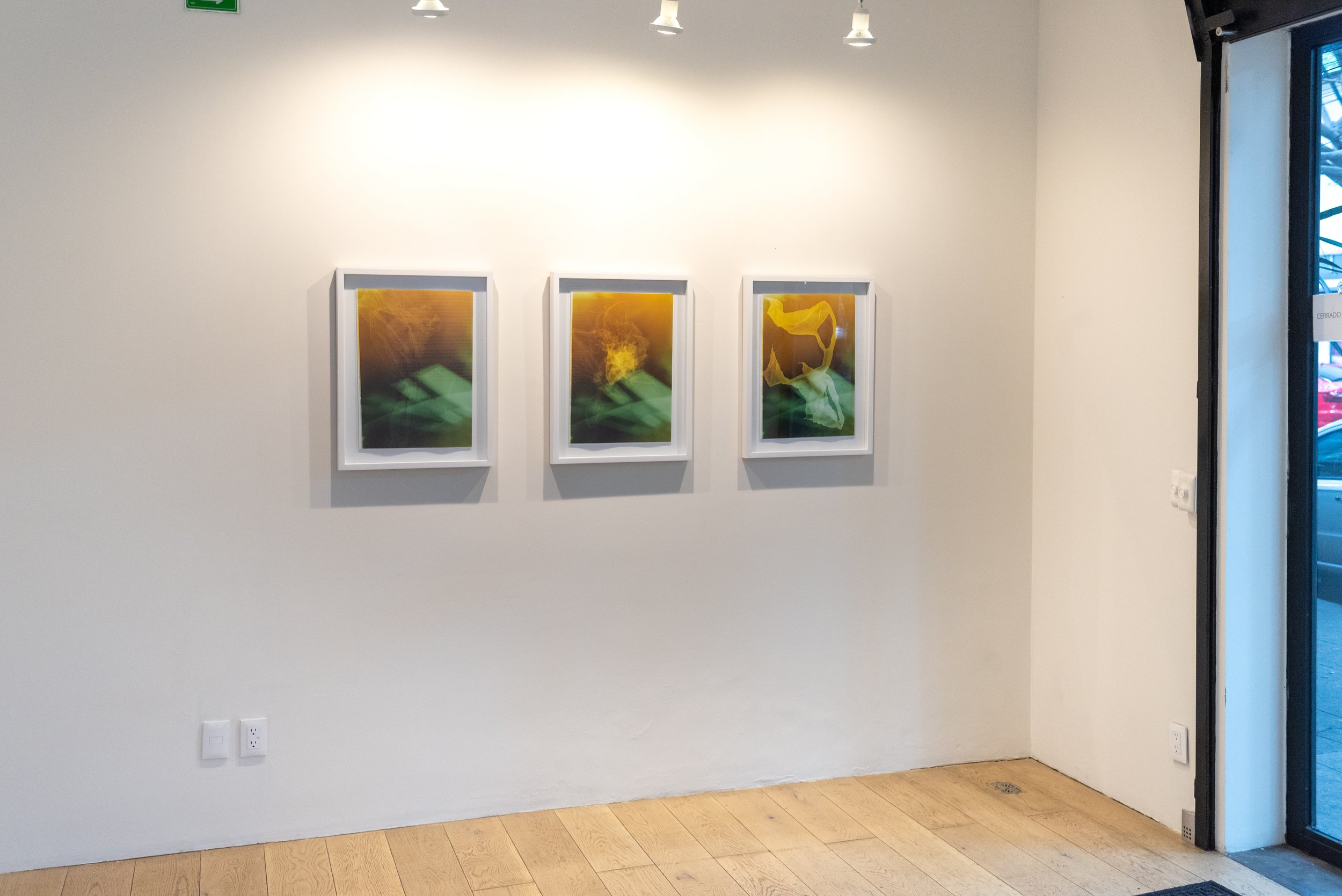 2019 – Exposición – Splash of Light