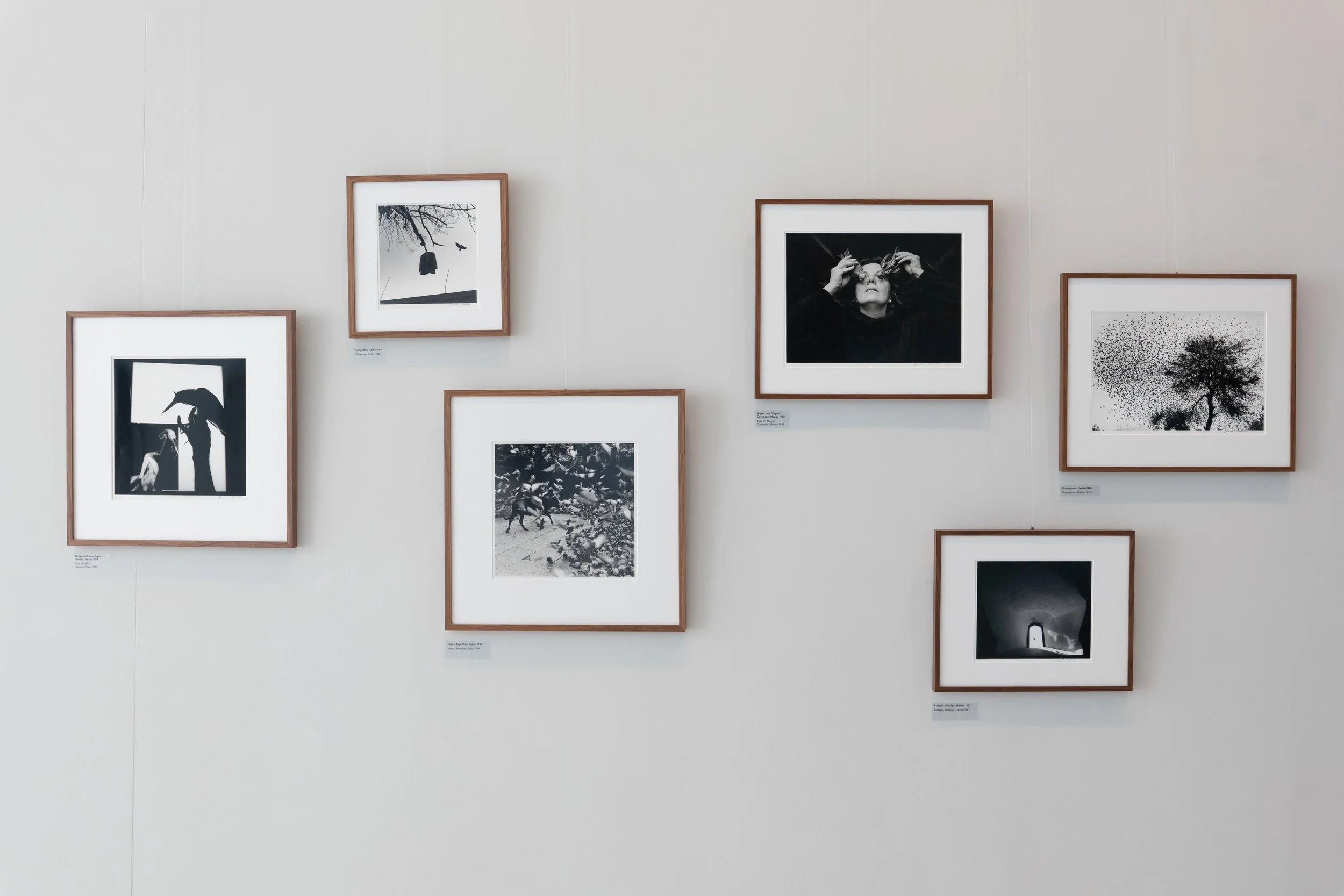 _2026_Doku_HallofFame_Graciela_Iturbide-35.jpg