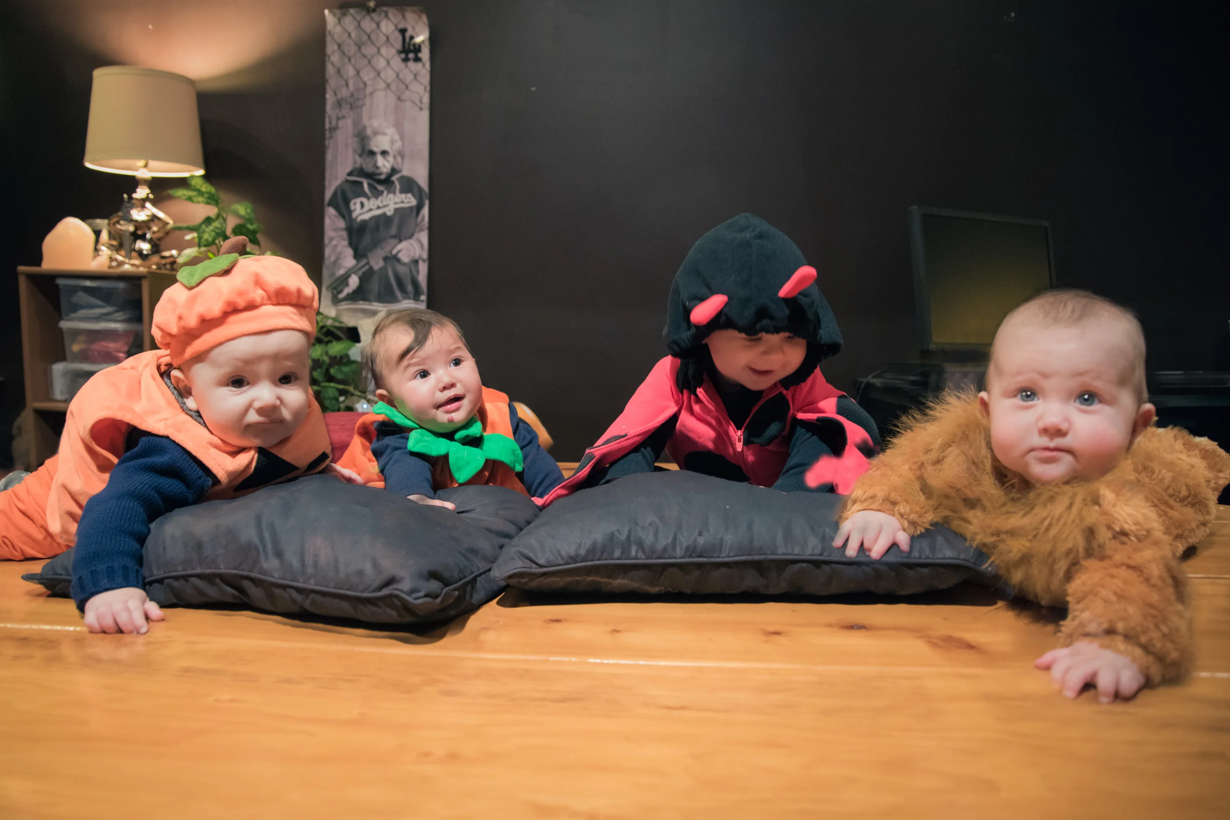 _DSC2962-Edit-2.jpg
