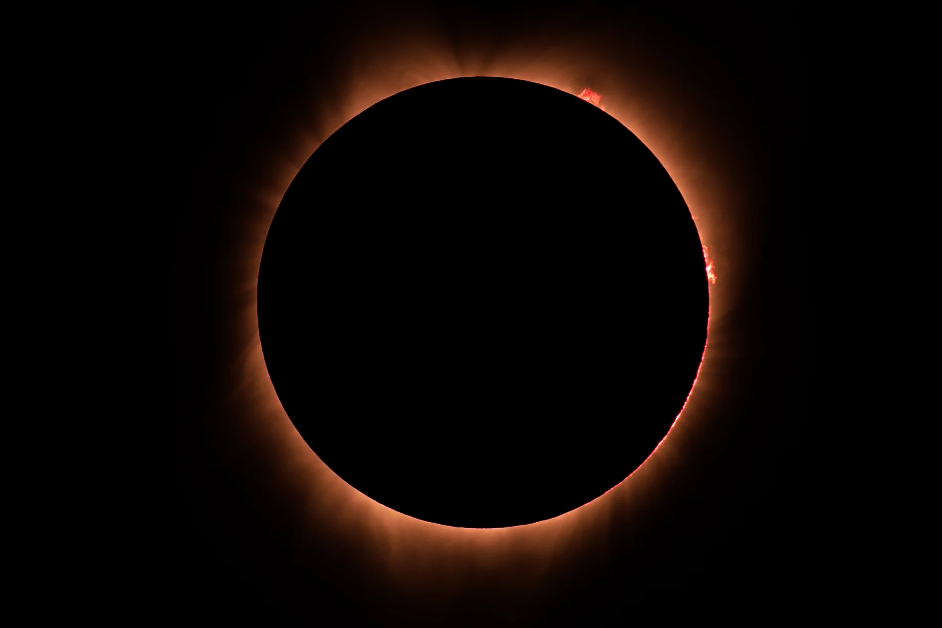 Killer shot by Mark Tulewicz, who shot this at 600mm. Follow Mark on Twitter @GhostTapMark.