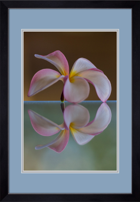 Framed and double matted prints will use frame type and matting colors shown in the above rendering. 
