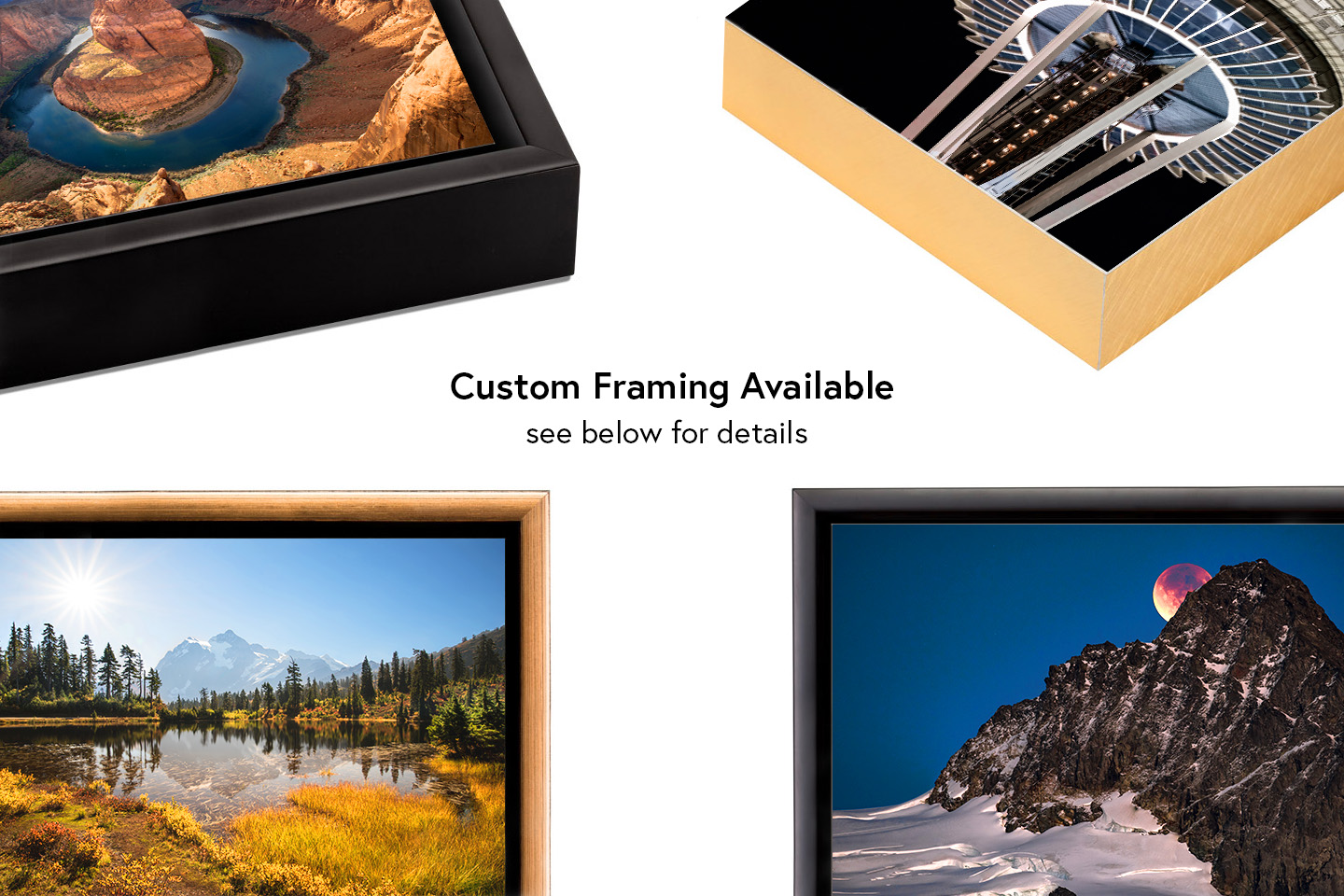 Flush Frame Float Frame Samples.jpg
