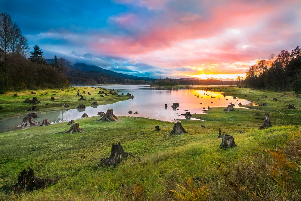 Alder Lake Washington Lupon gov ph