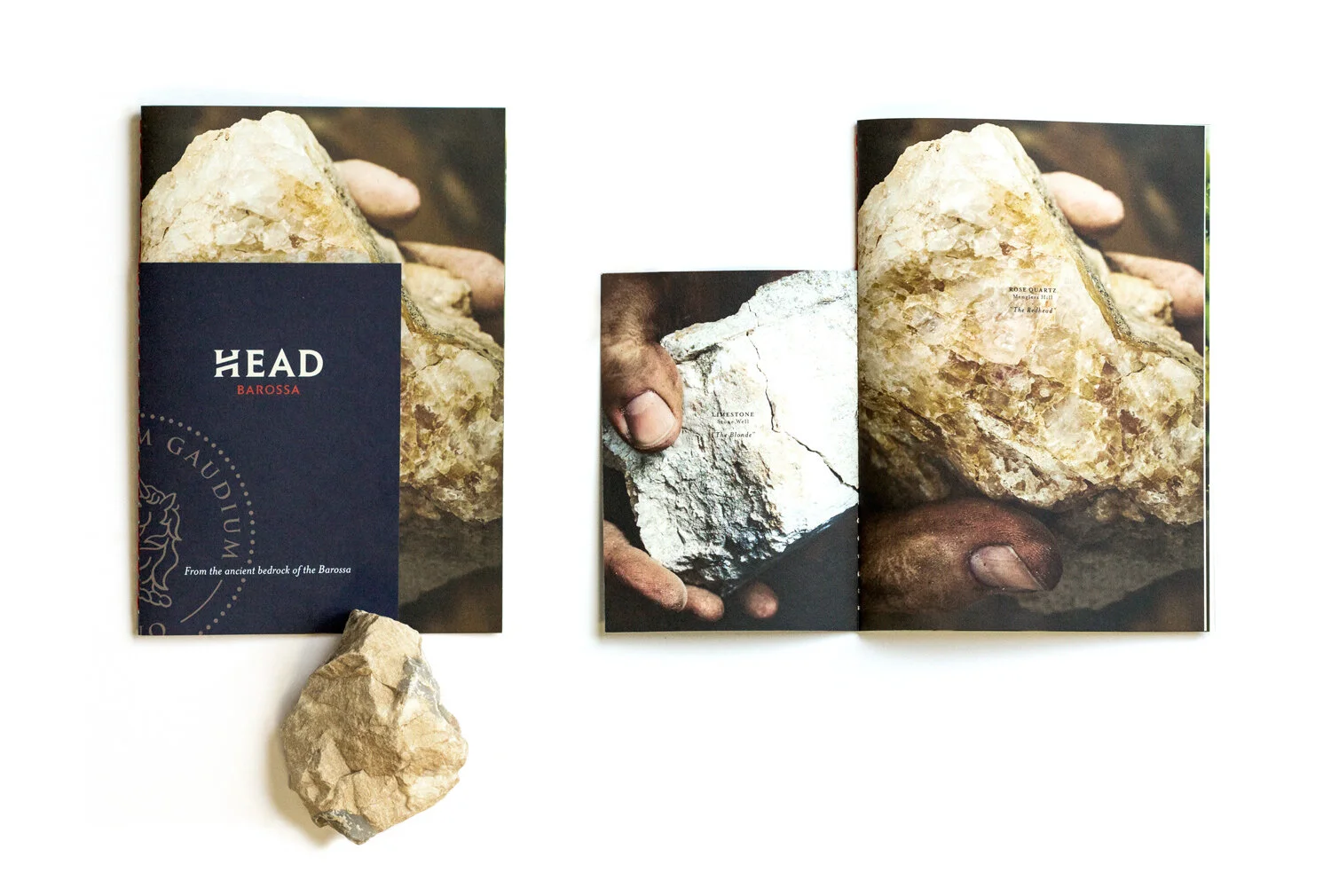 Brochure-cover_A_IMG_0698.jpg
