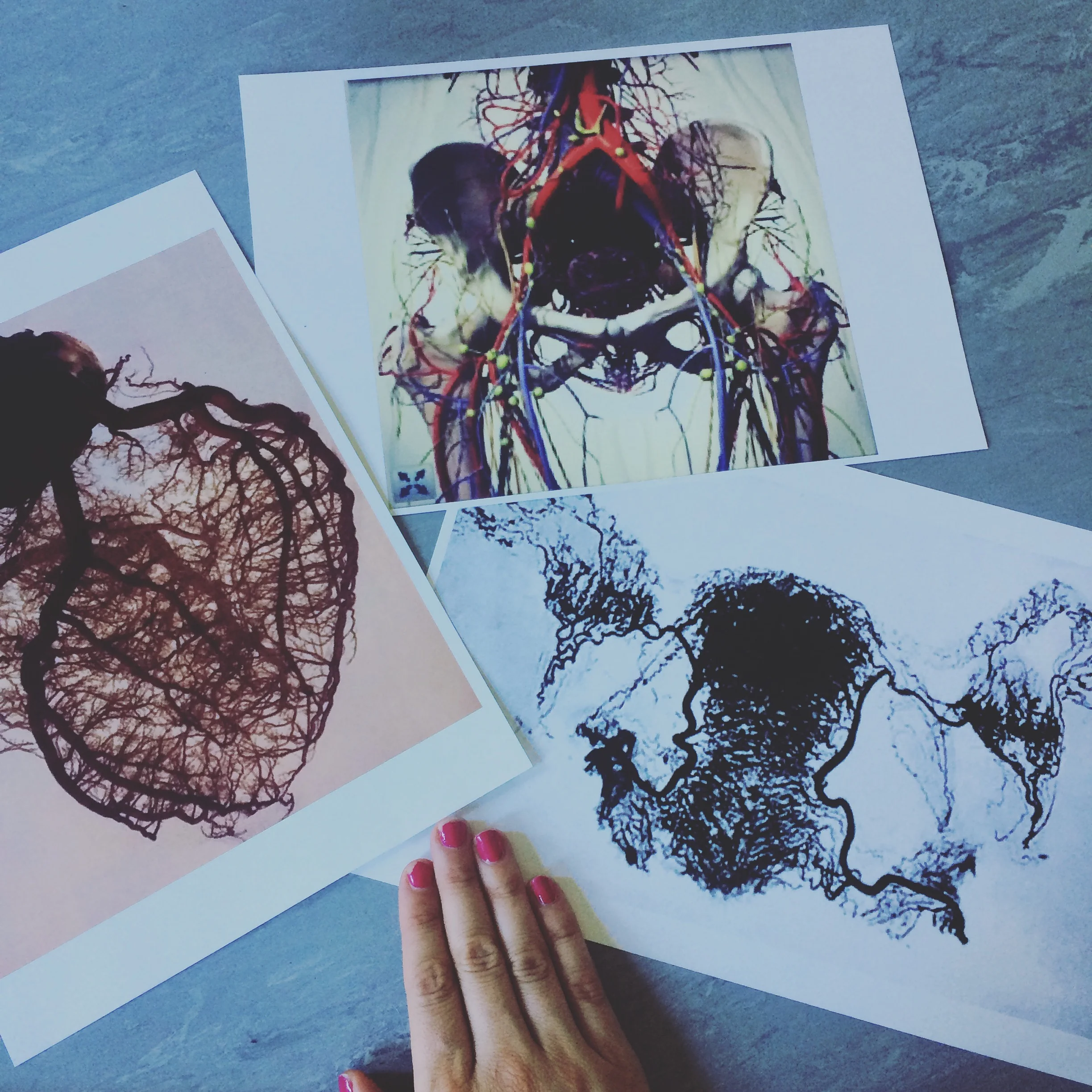 Visual aids from last weekends pleasure workshop with Cloud Gate Therapeutics . Did you know there's a nerve that goes from your brain, through your body, into your gut and into your cervix ?