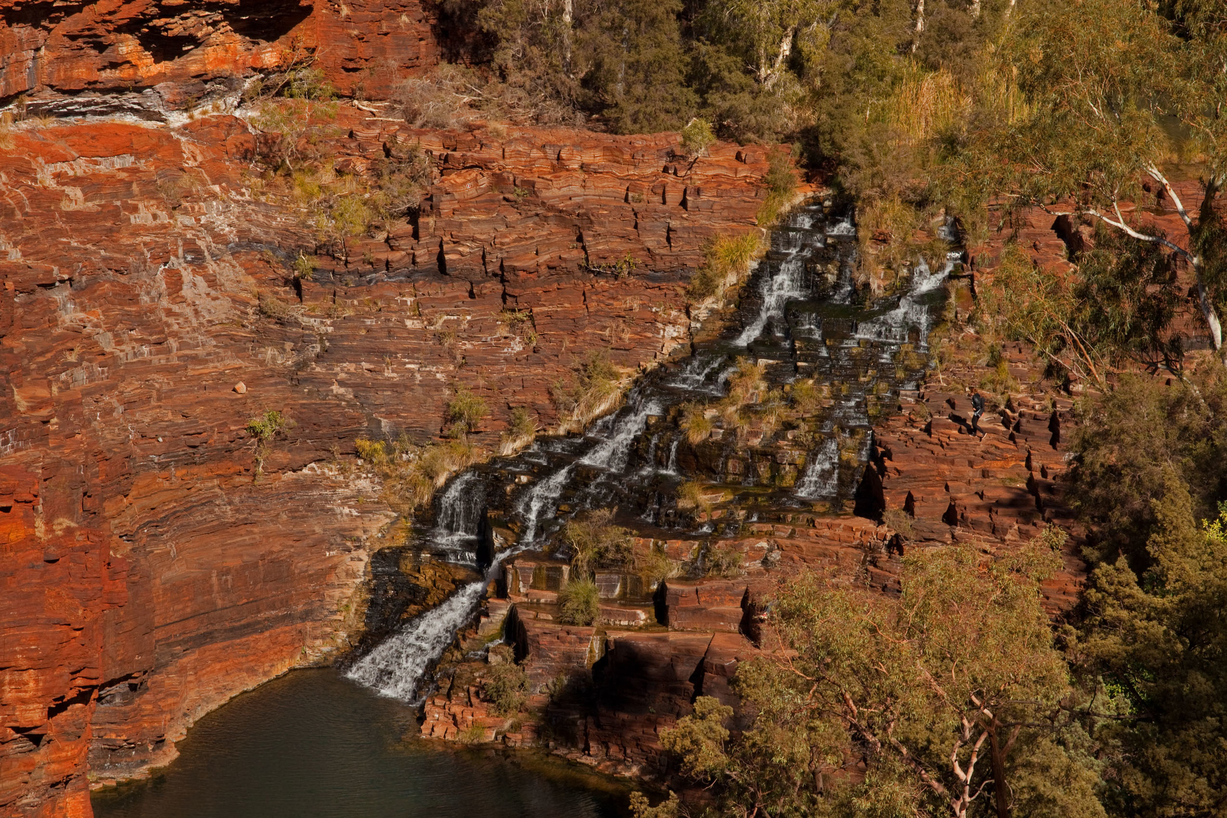 Fortescue falls.jpg