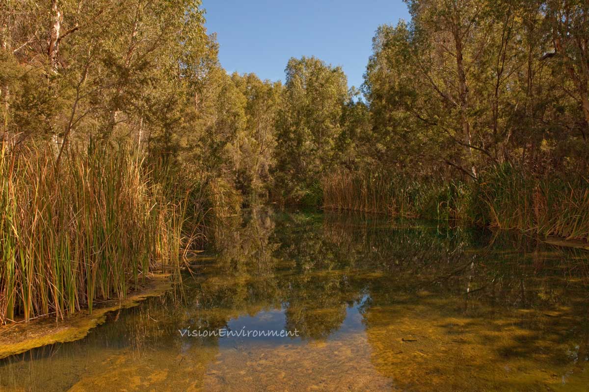 Fortescue falls pool.jpg