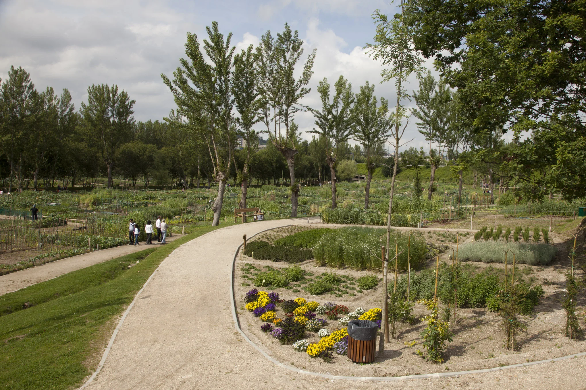 Fig 33: A large urban farm in Portugal