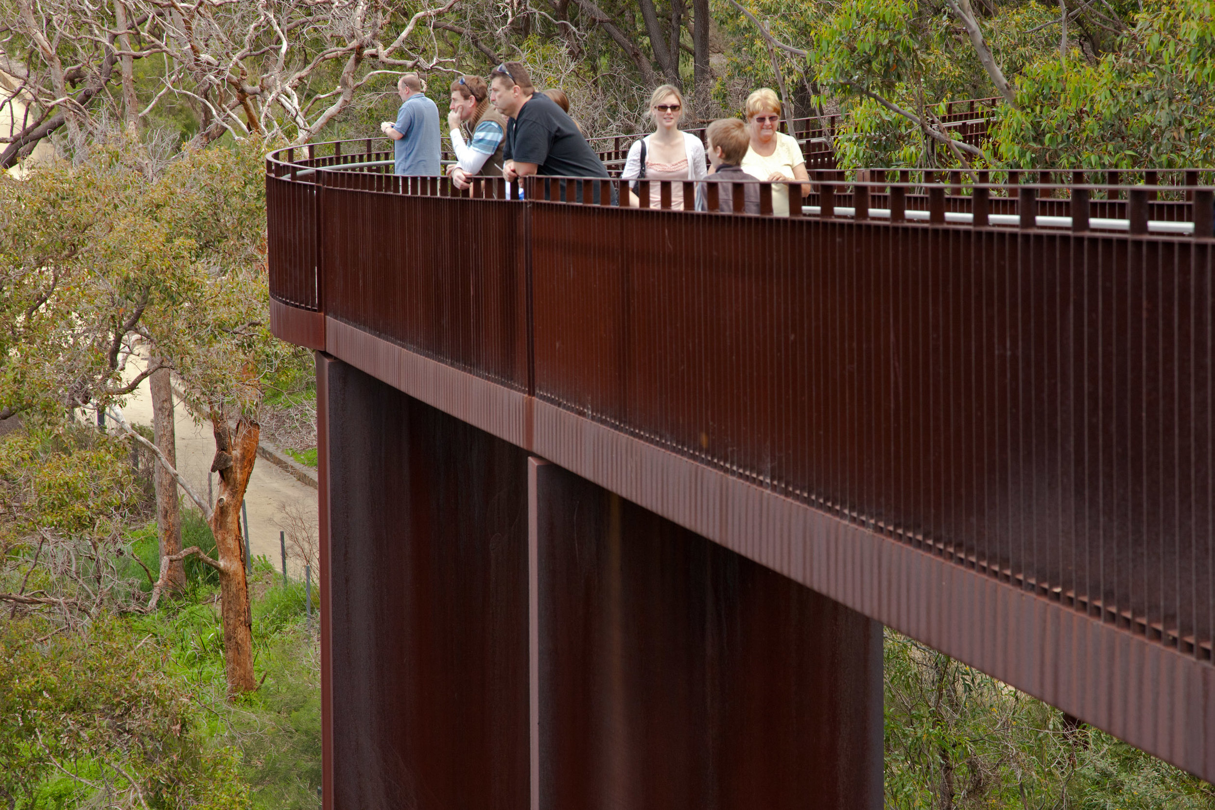 Fig 35: A popular elevated walkway in Kings Park, a large mostly natural park in the center of Perth.