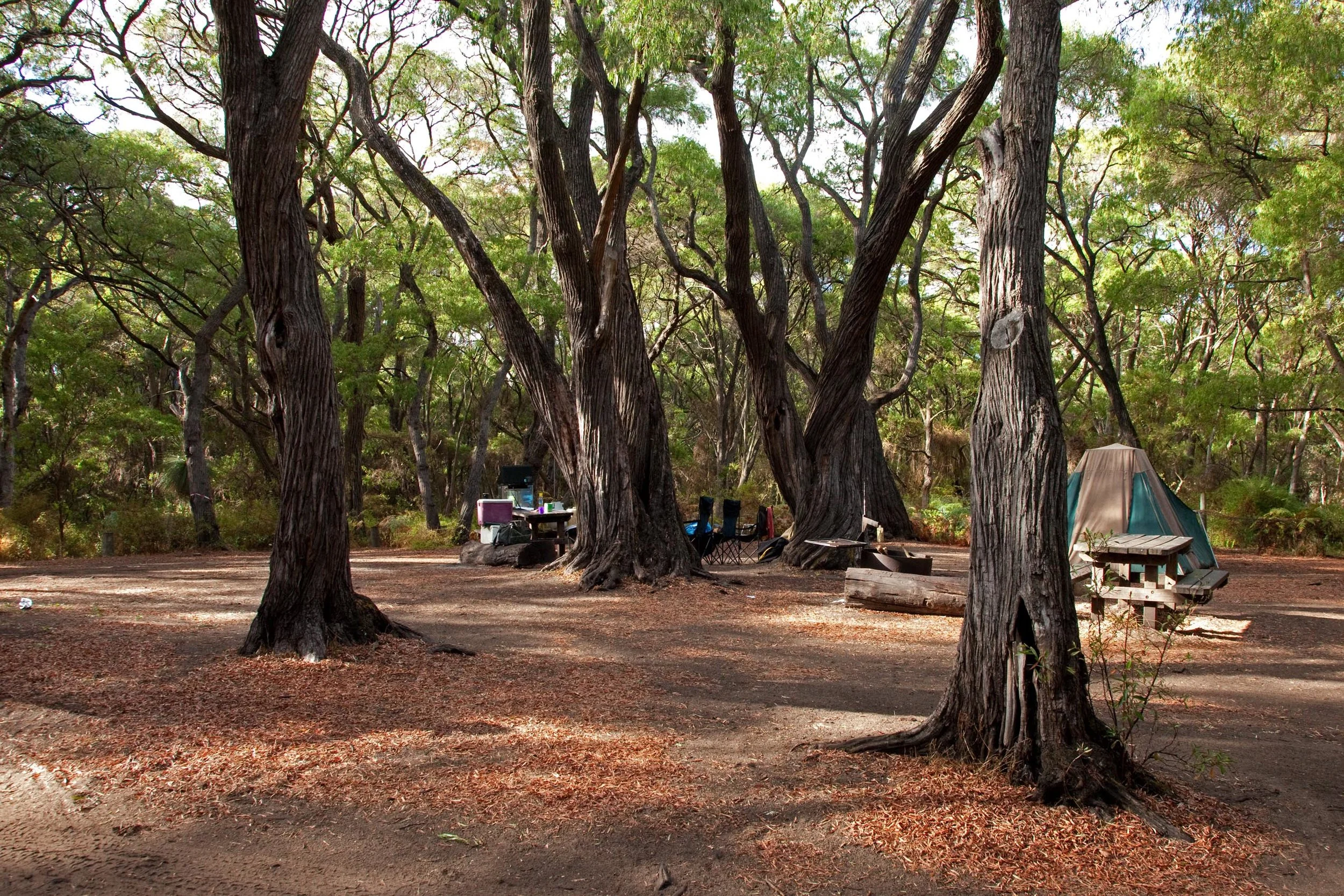 Fig 40: Contos camping site within the Leeuwin- Naturaliste National Park in WA.