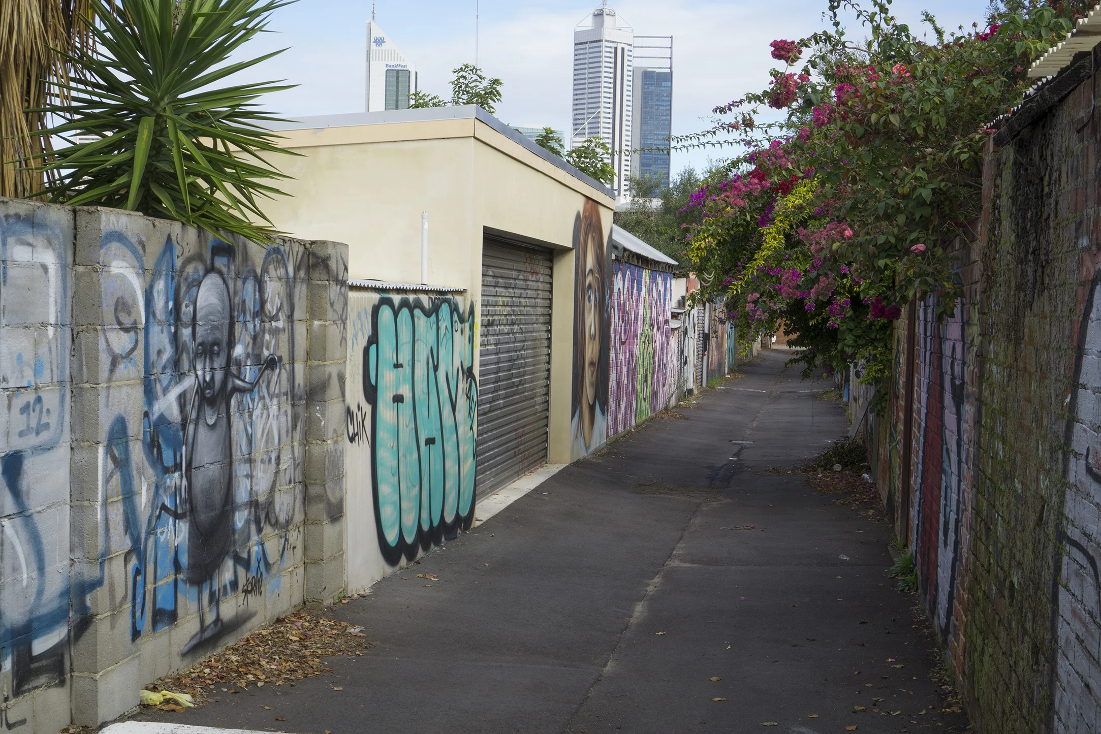 Fig: 15: Back lane in North Perth