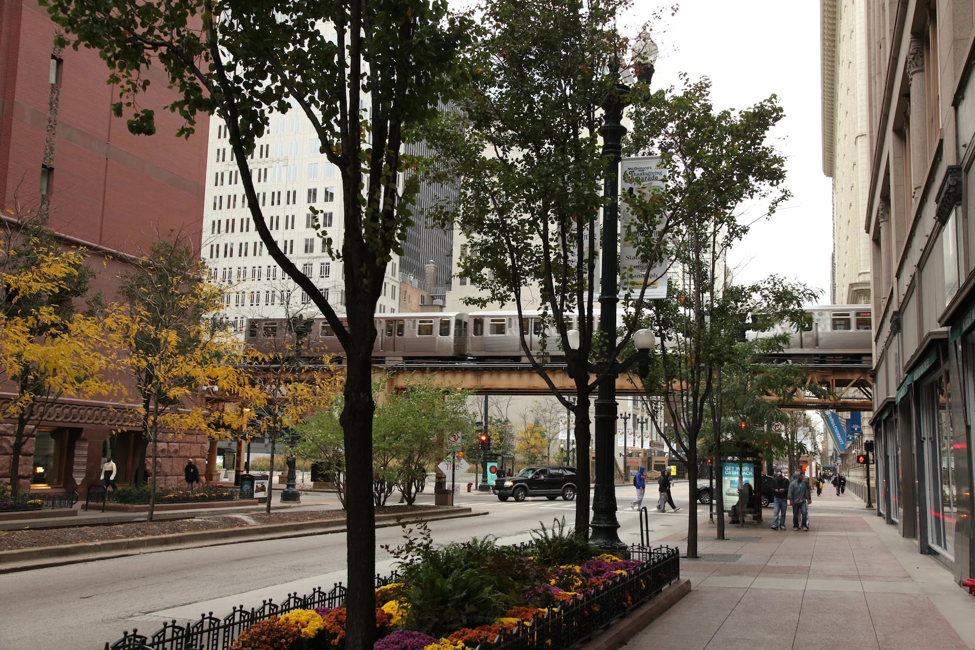 Fig: 36: Road verge in Chicago