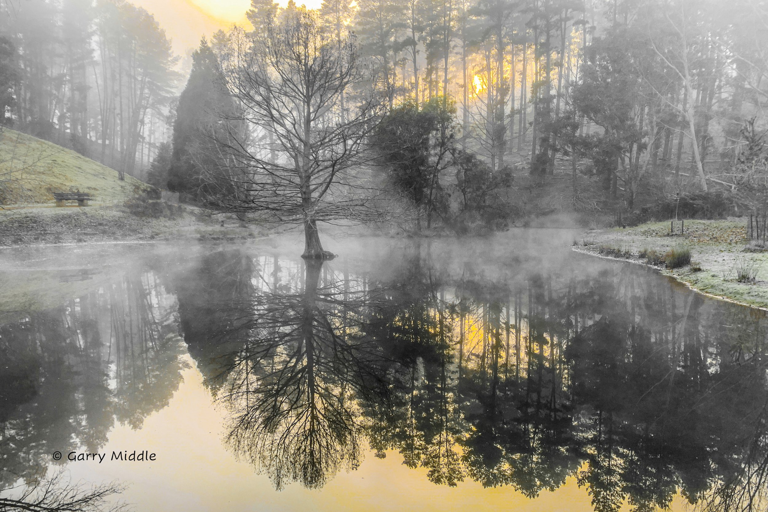 morning mist Golden Valley duck pond_medium.jpg