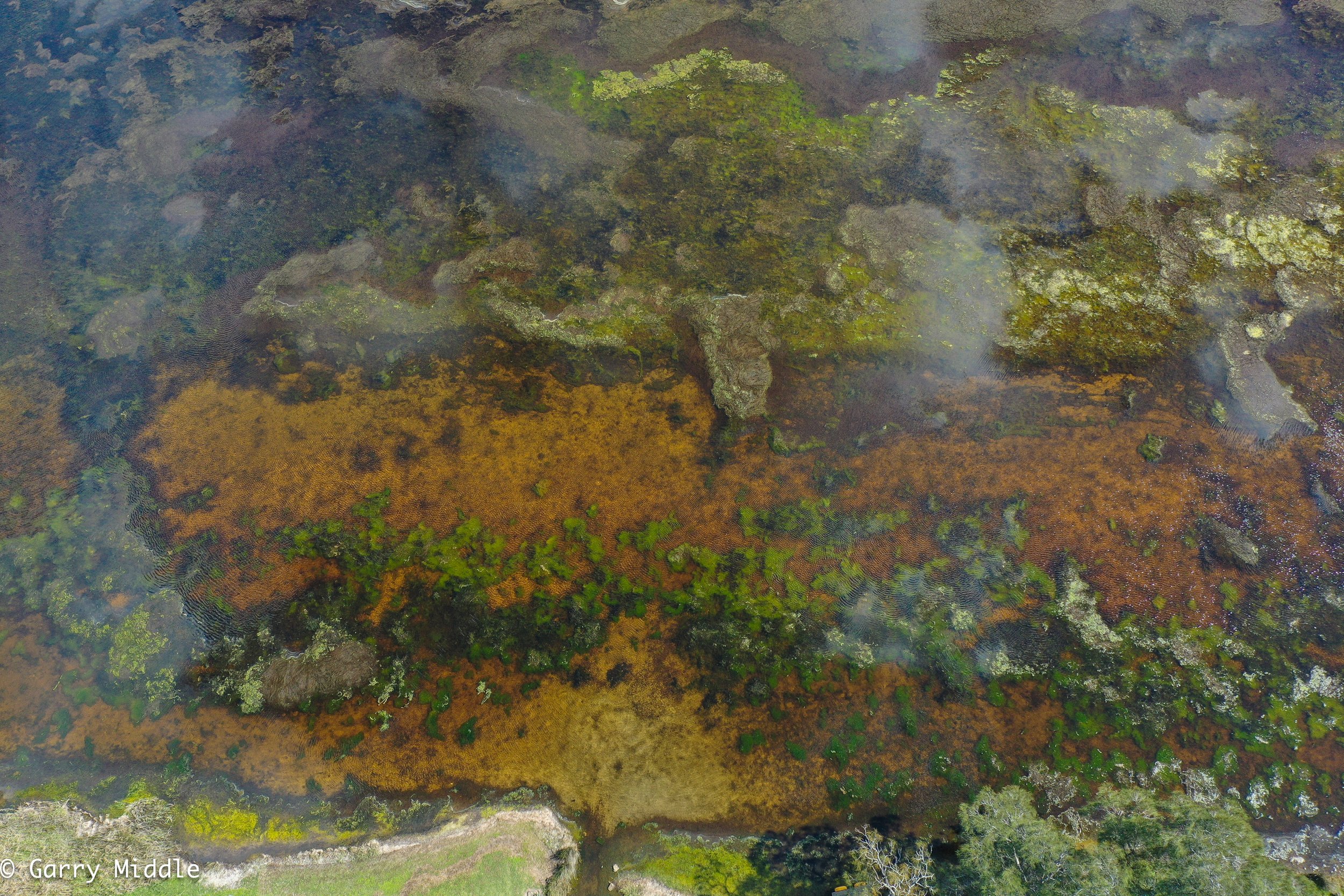 Budgewoi Lake shallows colours _medium.jpg