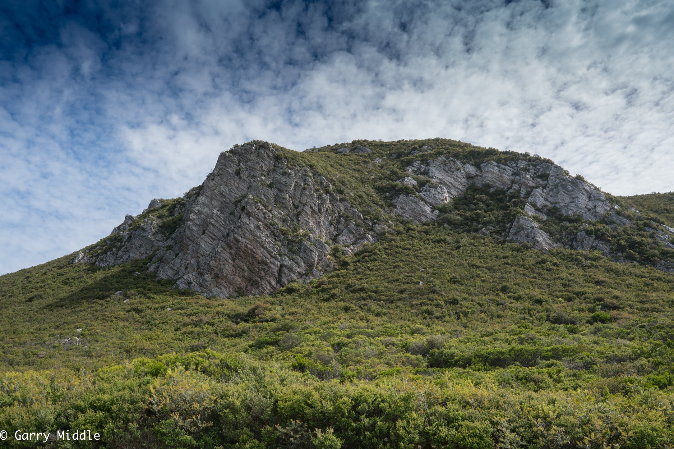 Medium_Coloured_landscape_Rocky_Cape_National_Park_1.jpg