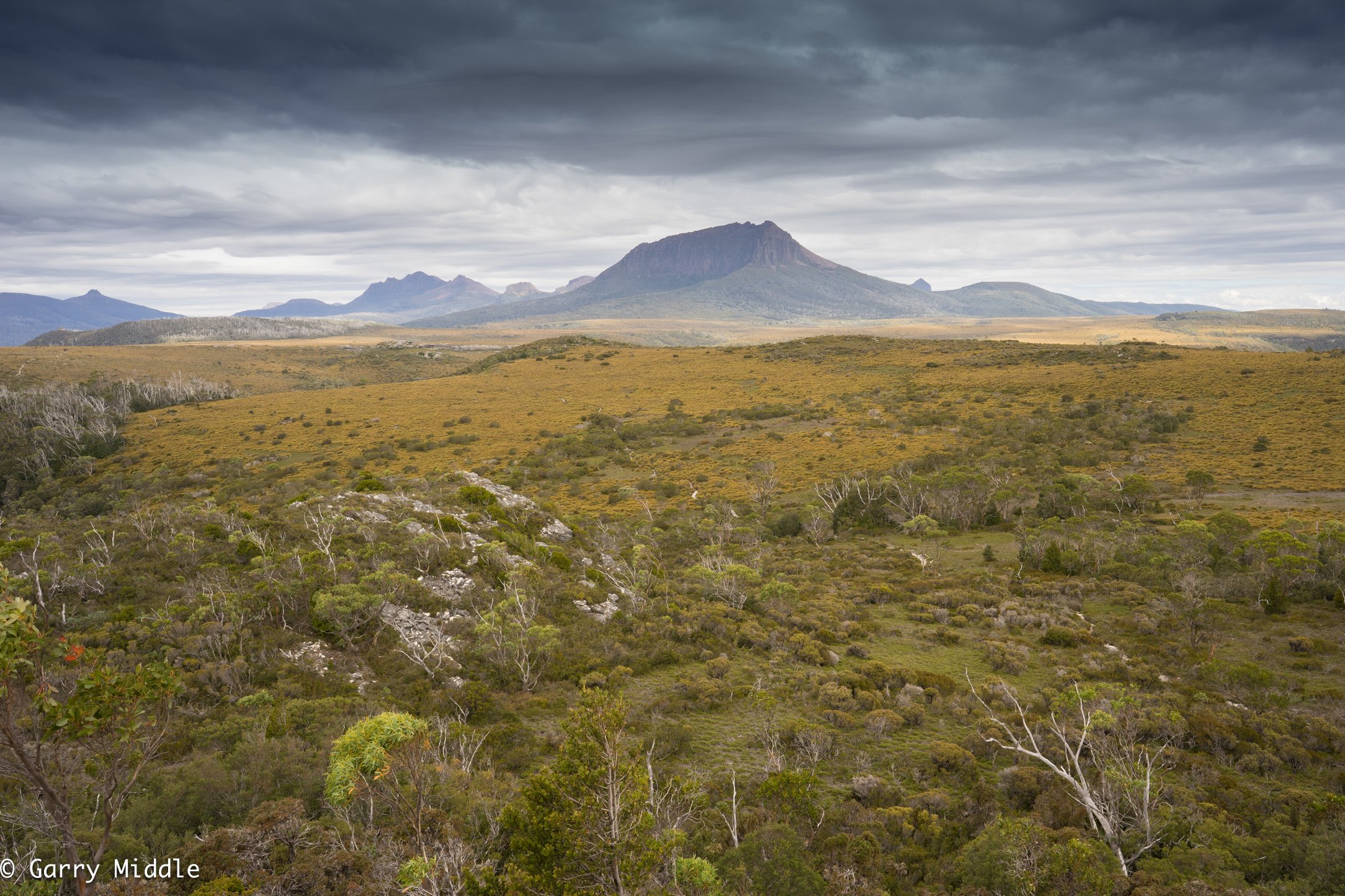 Medium_Coloured_landscape_View of Pine Forest Moor 5.jpg