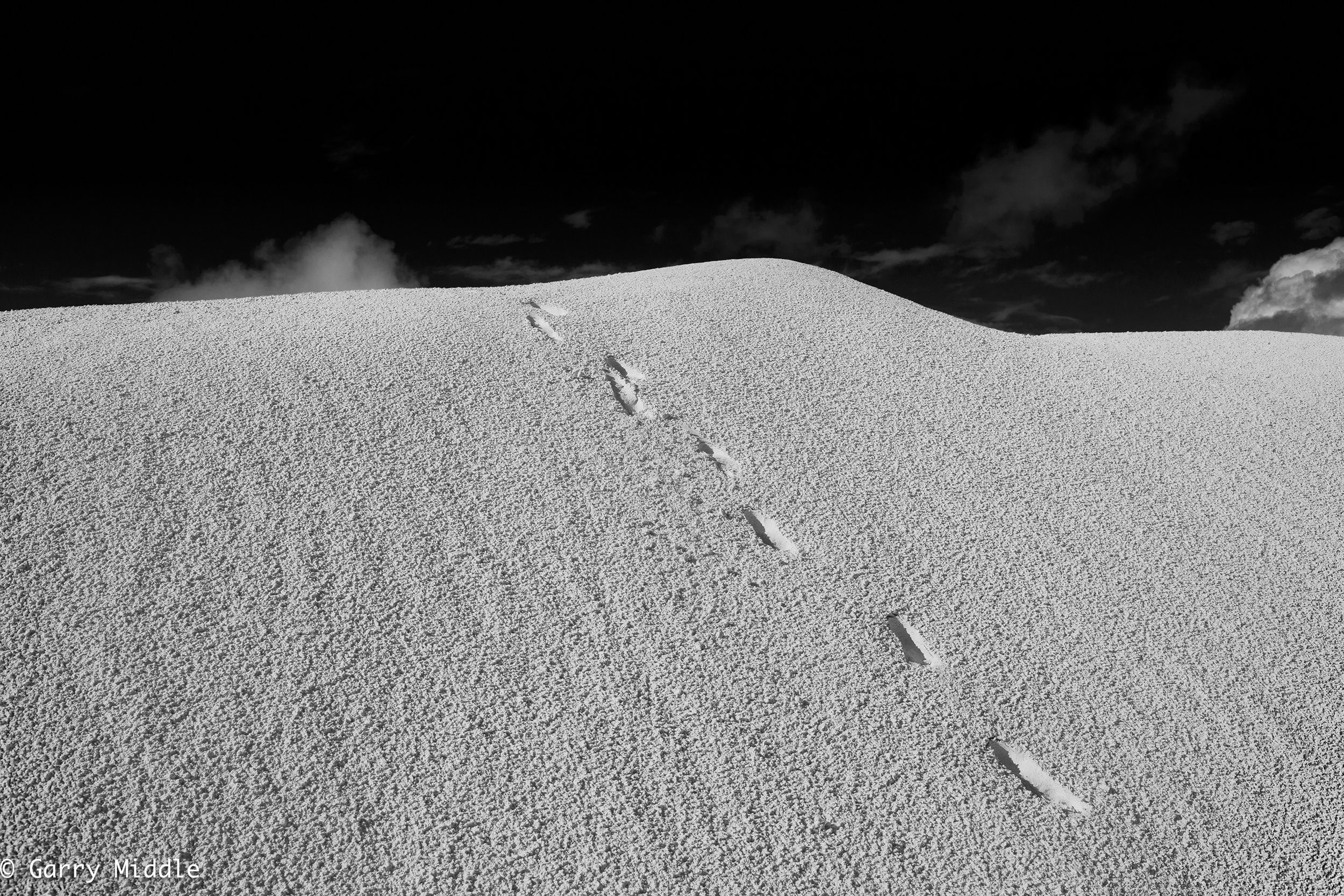 Medium_B&W_dune_footprints.jpg