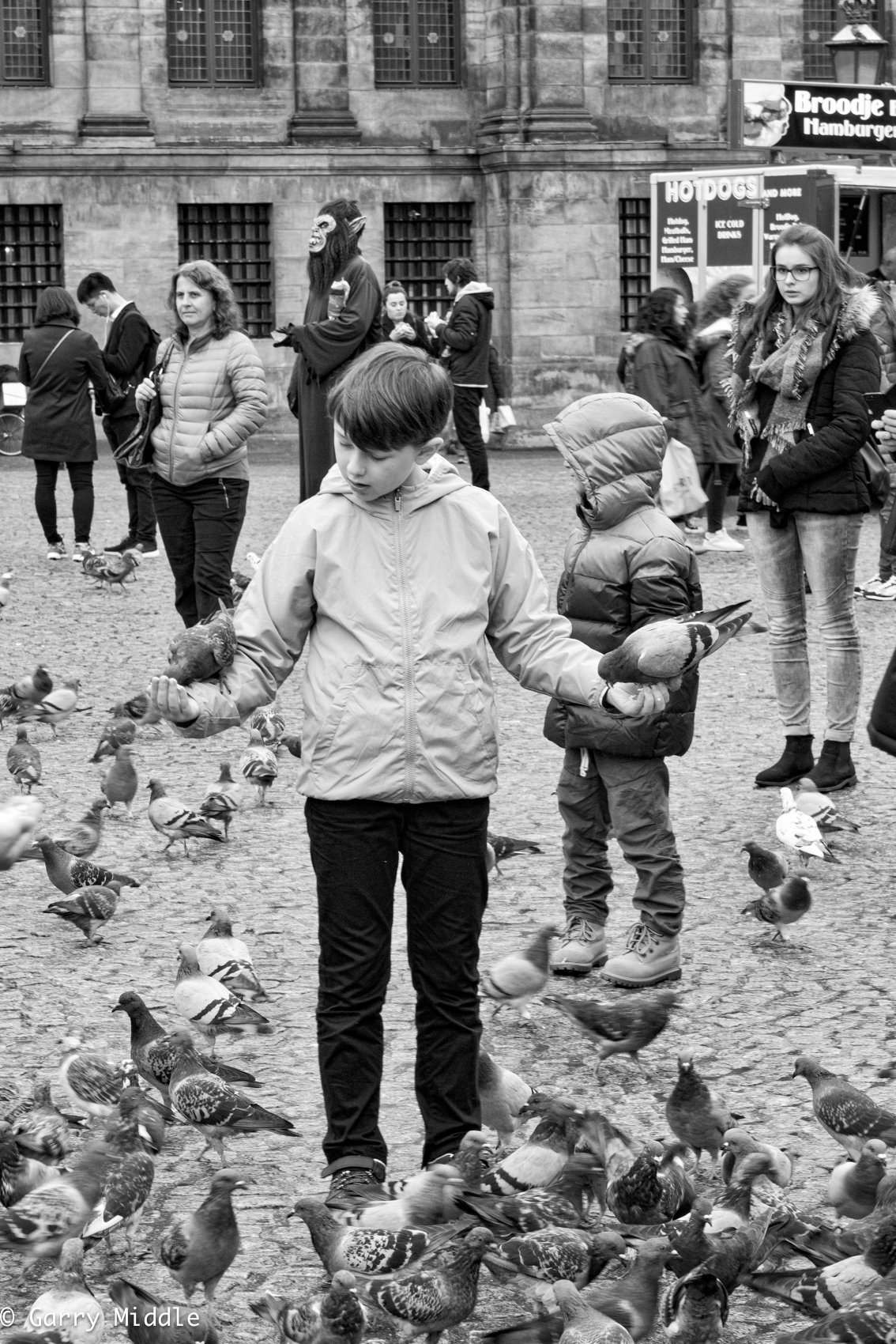 Medium_Pigeons Amsterdam.jpg