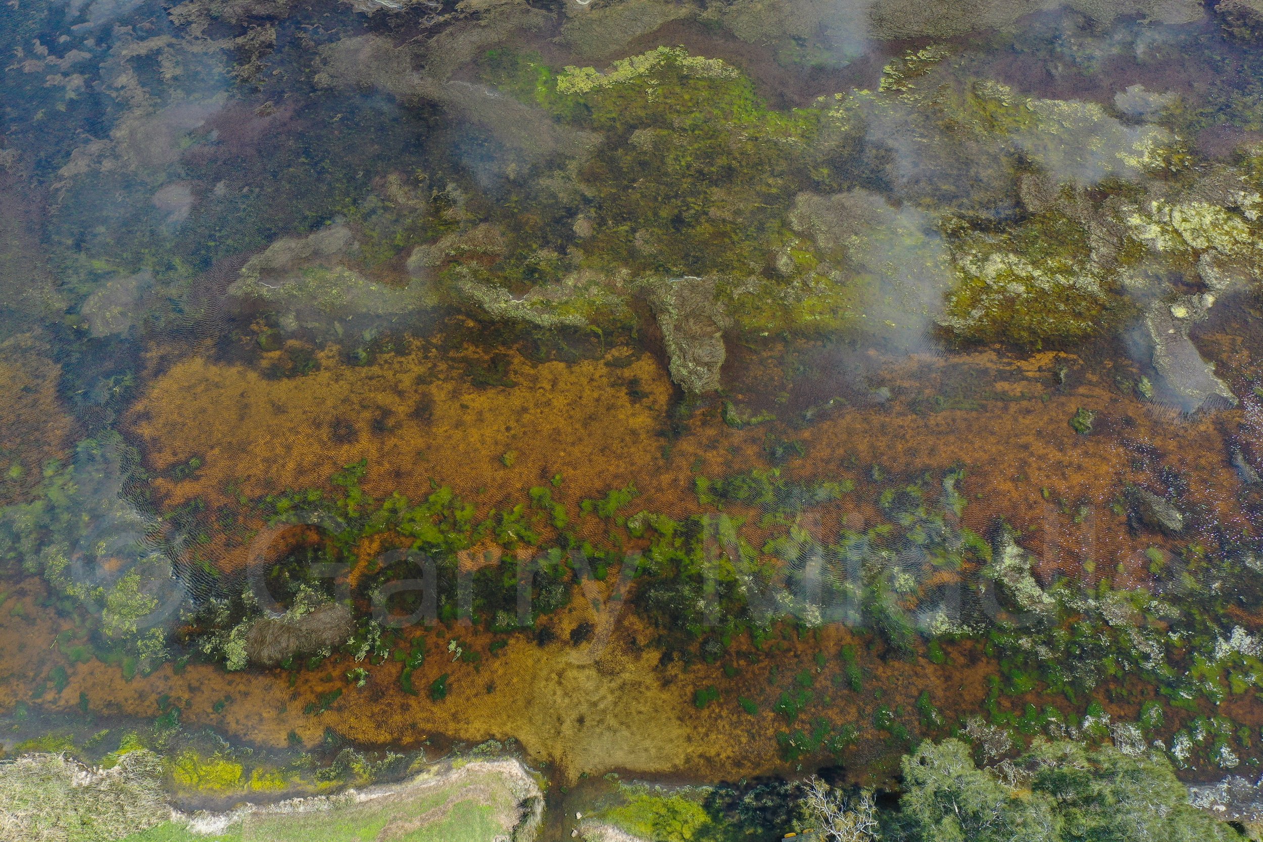 Budgewoi Lake shallows colours _medium_copyright.jpg