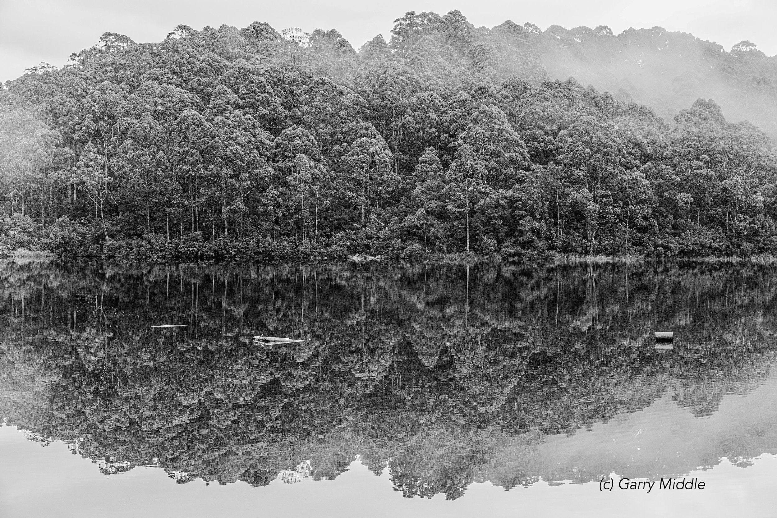 karri valley lake 1b&w_medium.jpg