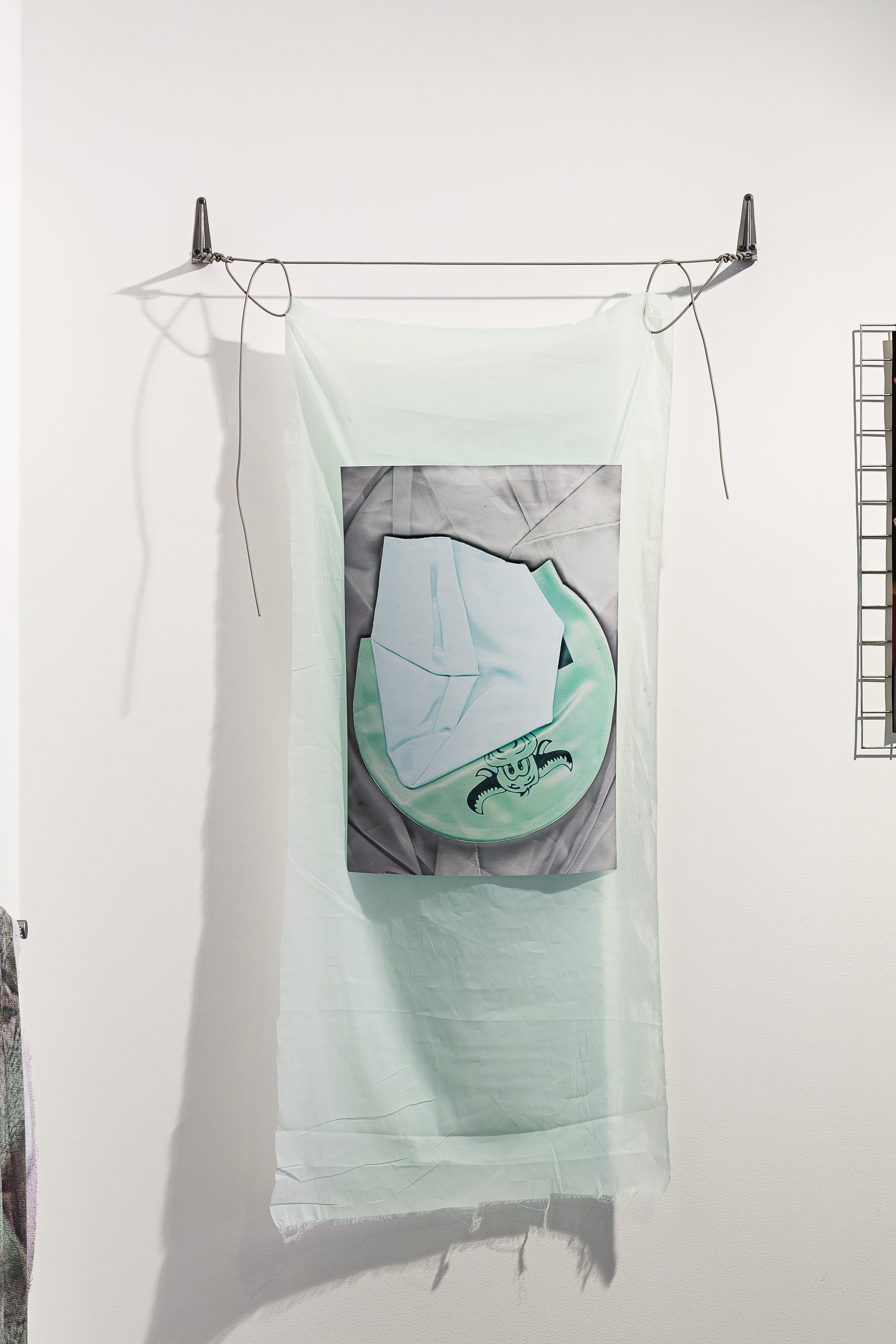   Buffalo ,&nbsp;digital print on paper, silk, washing line, angle brackets, 155 x 82cm  Photo: Document Photography   Enquire  