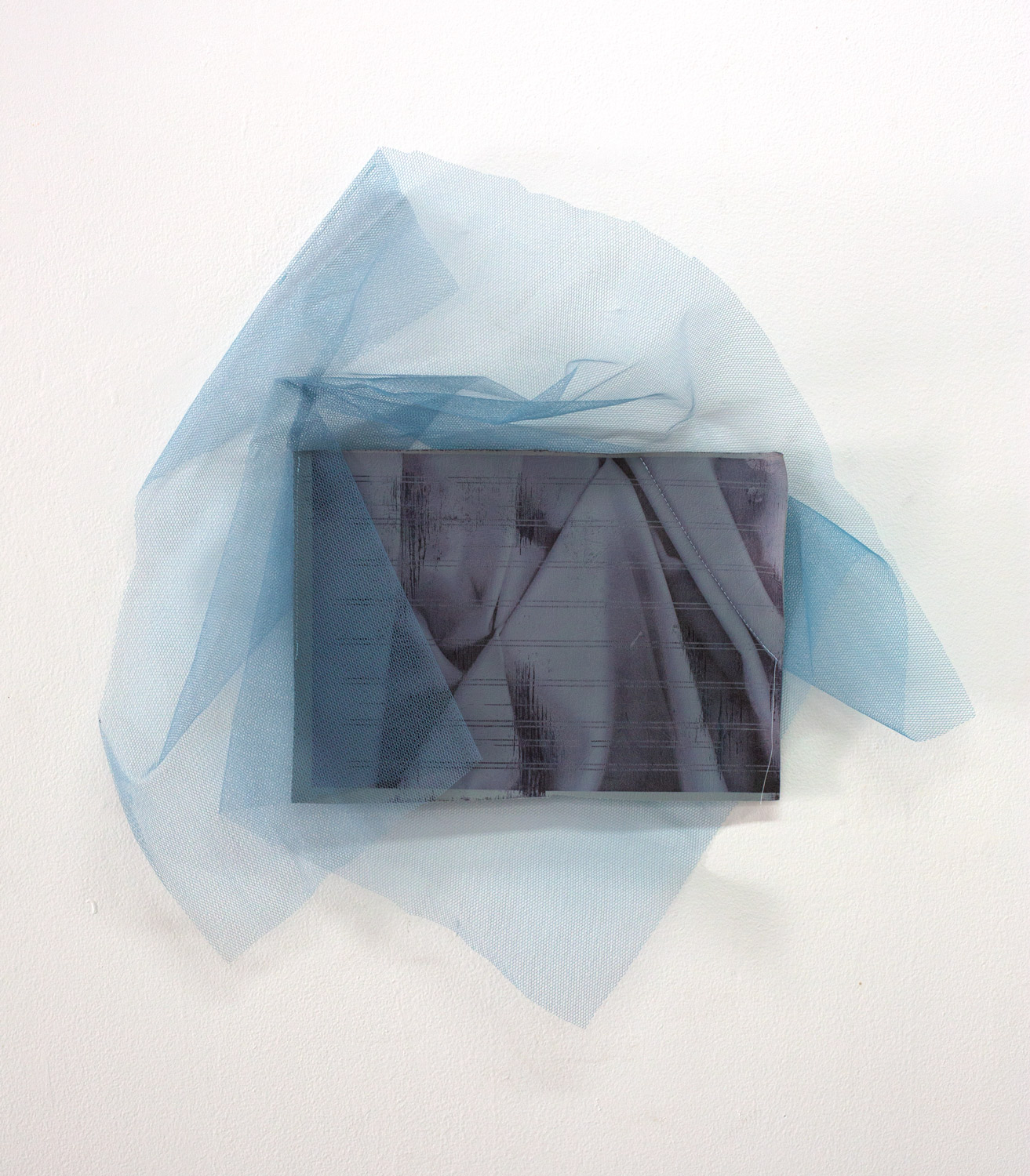   Seal Mist , 2019, inkjet print on vinyl, tulle, thread, 55 x 53cm  Photo: Xavier Burrow 