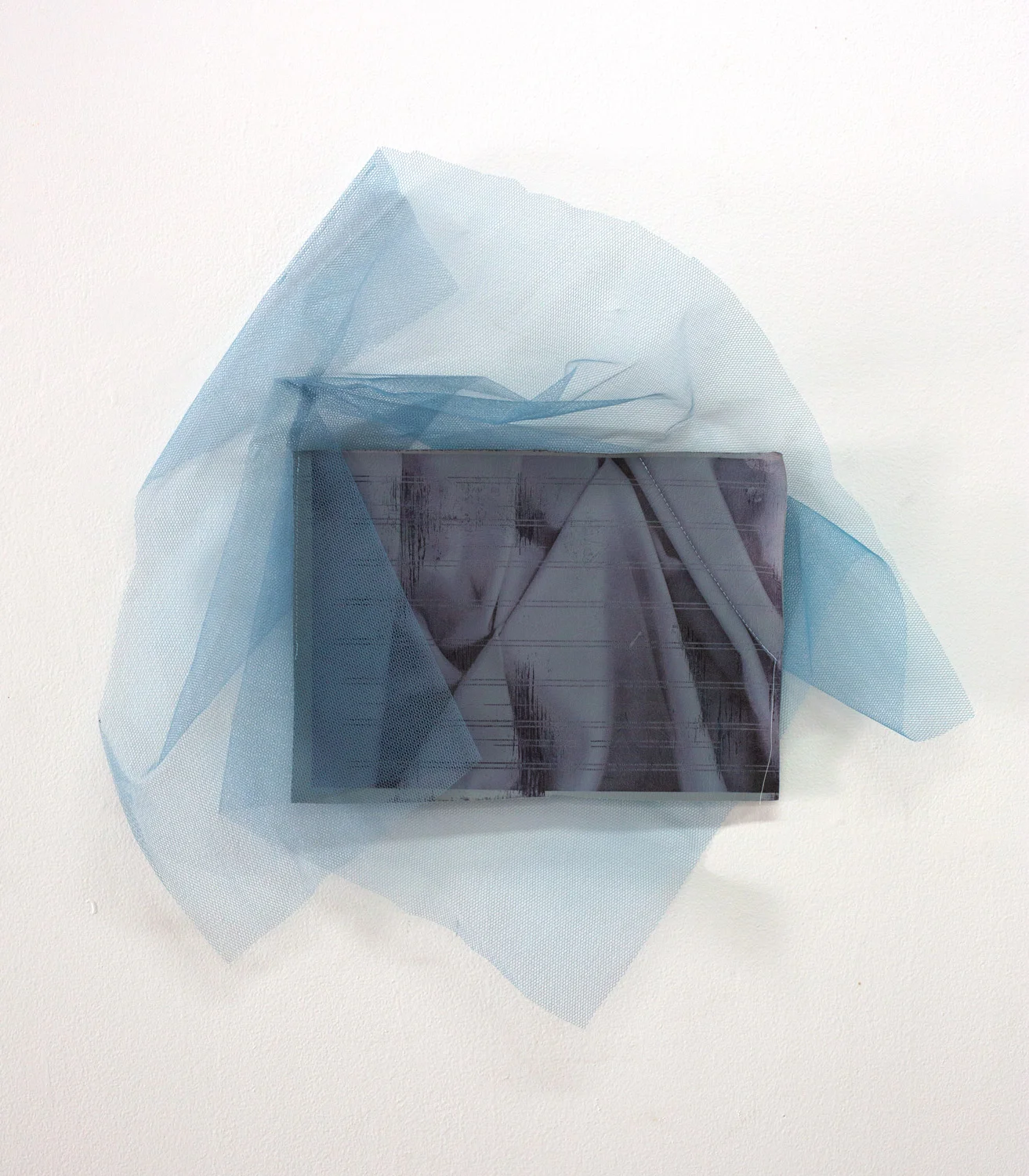 Seal Mist , 2019, inkjet print on vinyl, tulle, thread, 55 x 53cm Photo: Xavier Burrow