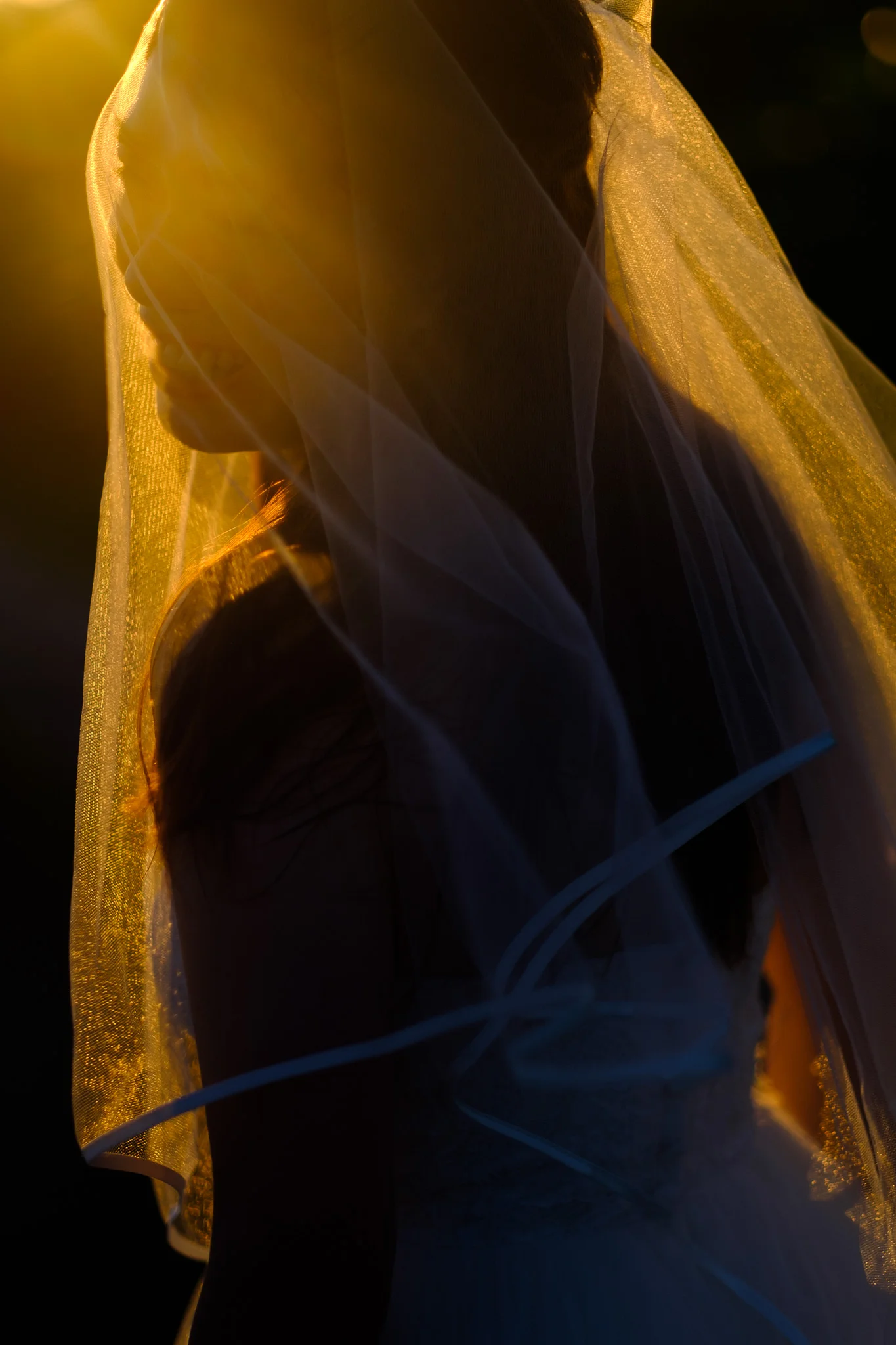 XT2B7709.jpg