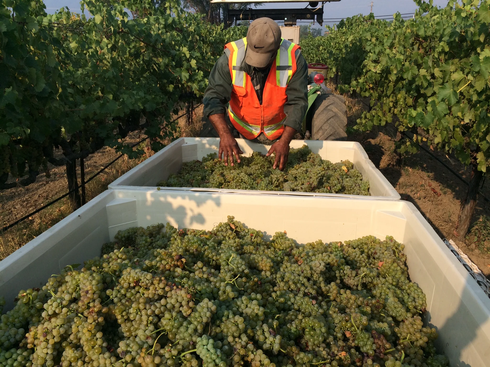 File Oct 14, 11 47 18 AM.jpeg