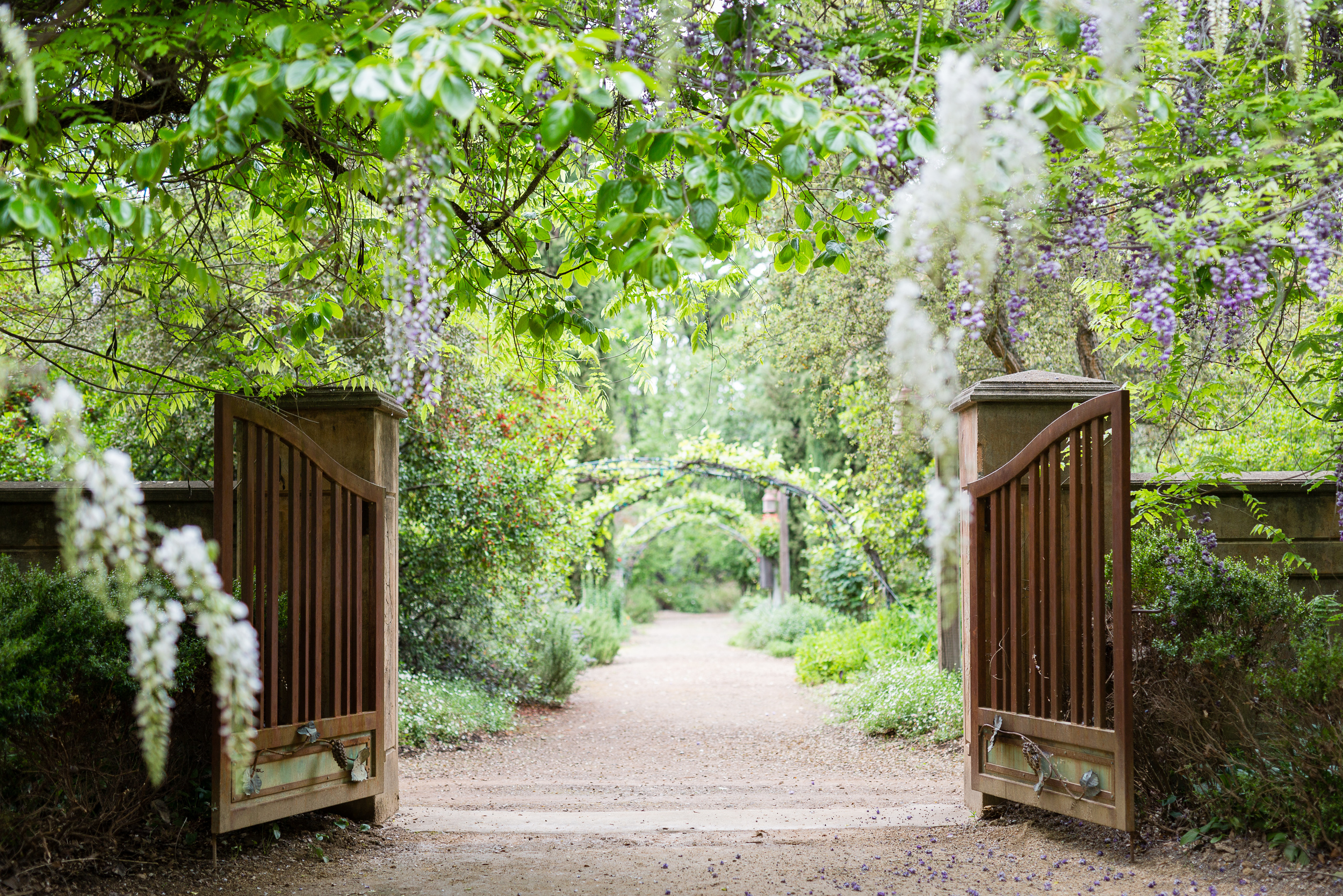 Campovida-Wedding-Photographer-215.jpg