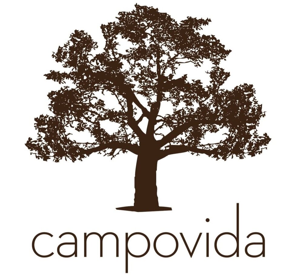 Campovida