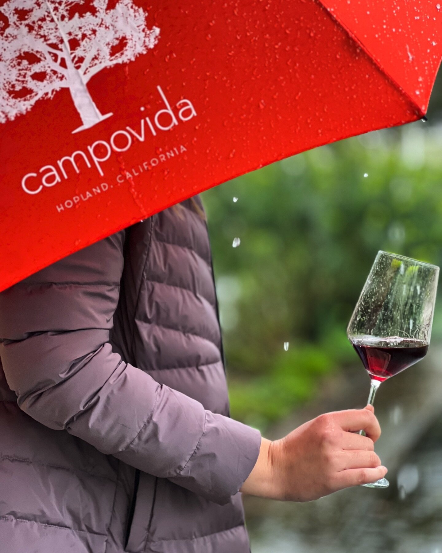 When Mother Nature rains, we pour.

Today is our seasonal party for our fellow stewards, members who invest in this land and our wines. We are all in this farming practice together.

Become a steward with us. Invest wisely. Care for yourself and the 