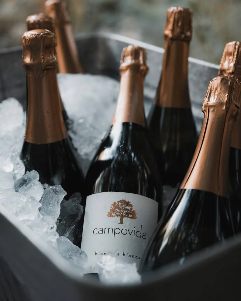 Sparkling Wine and Oyster Celebration