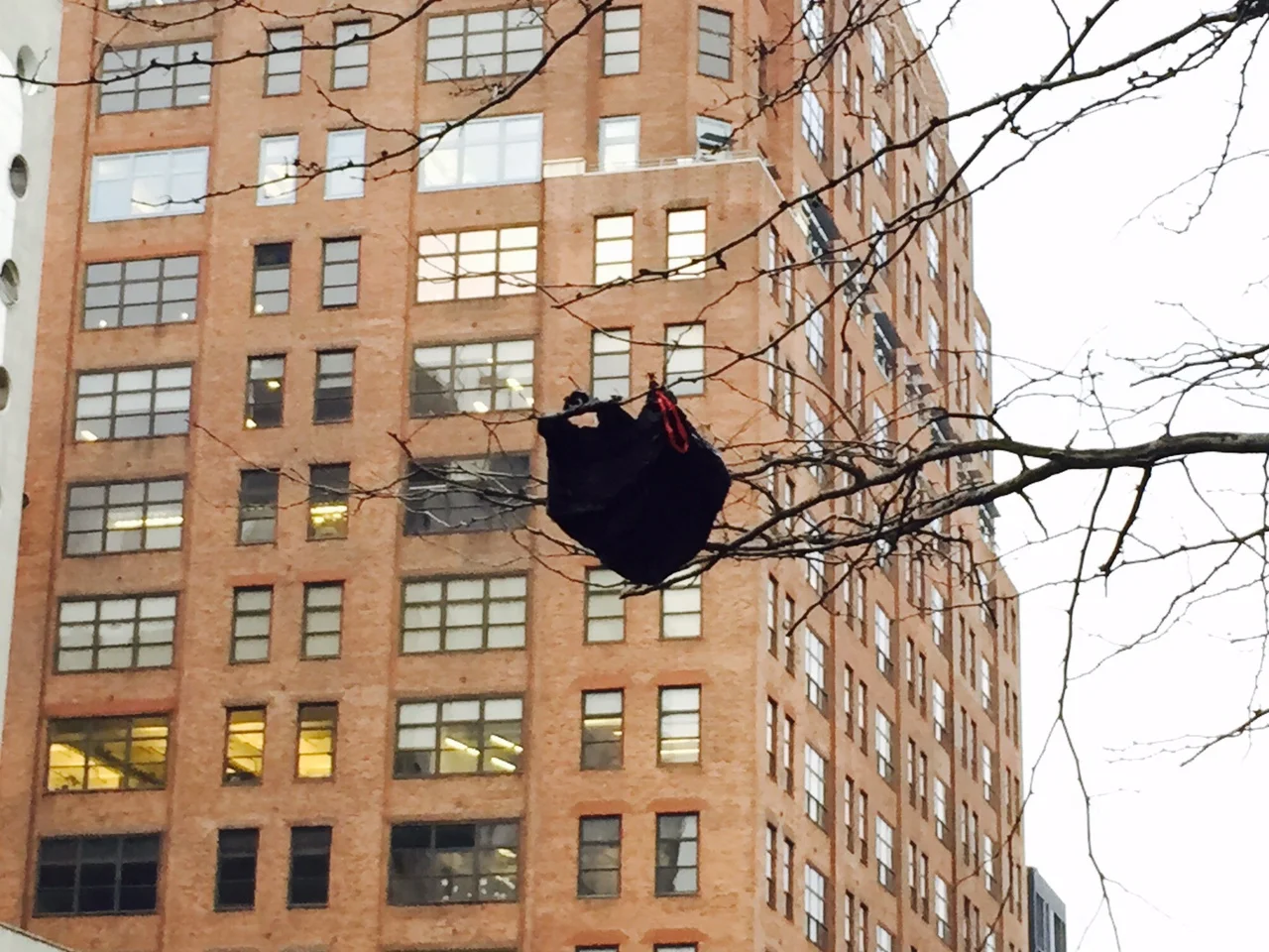  Gustavo. 

 Instagram.com/gustavoluzsousa
@gustavoluzsousa 
