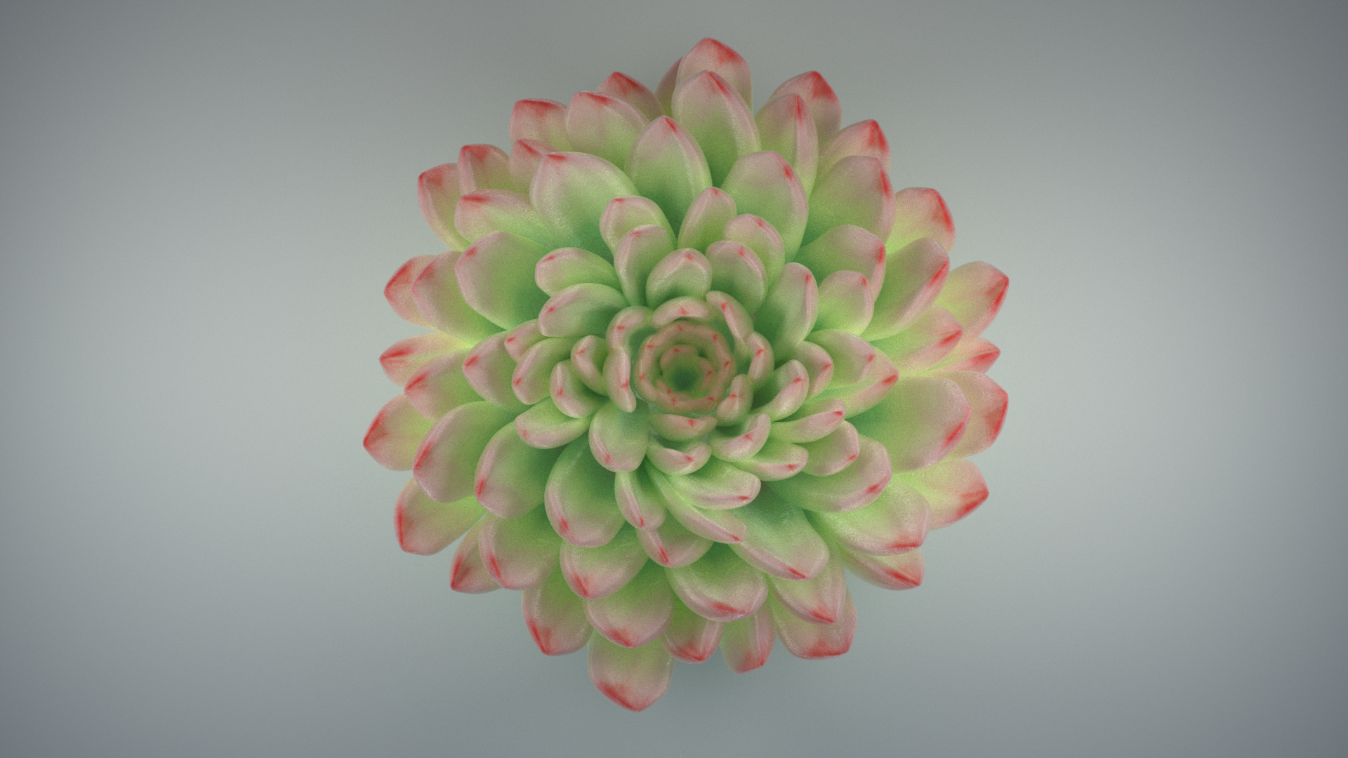 Flower_A.png