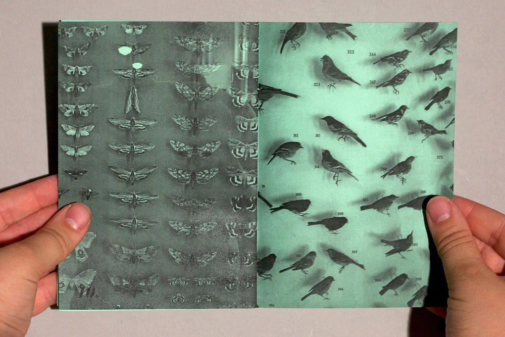 Luke-Thompson_Collected-Dissertation_06