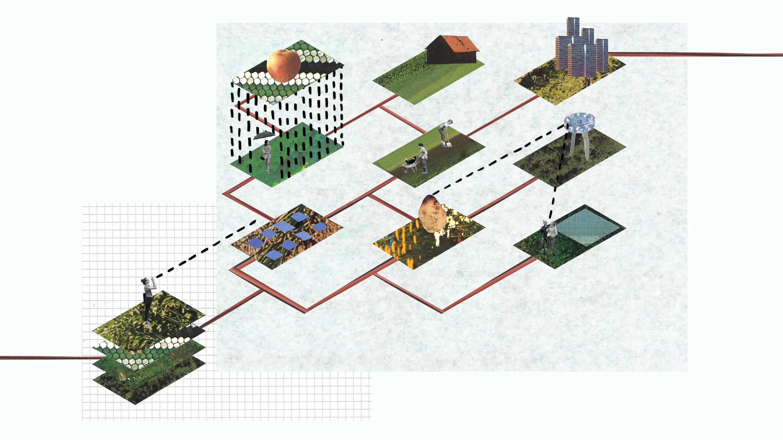 Luke-Thompson_Future-of-Food_03_Co-operative-Food-Systems.jpg