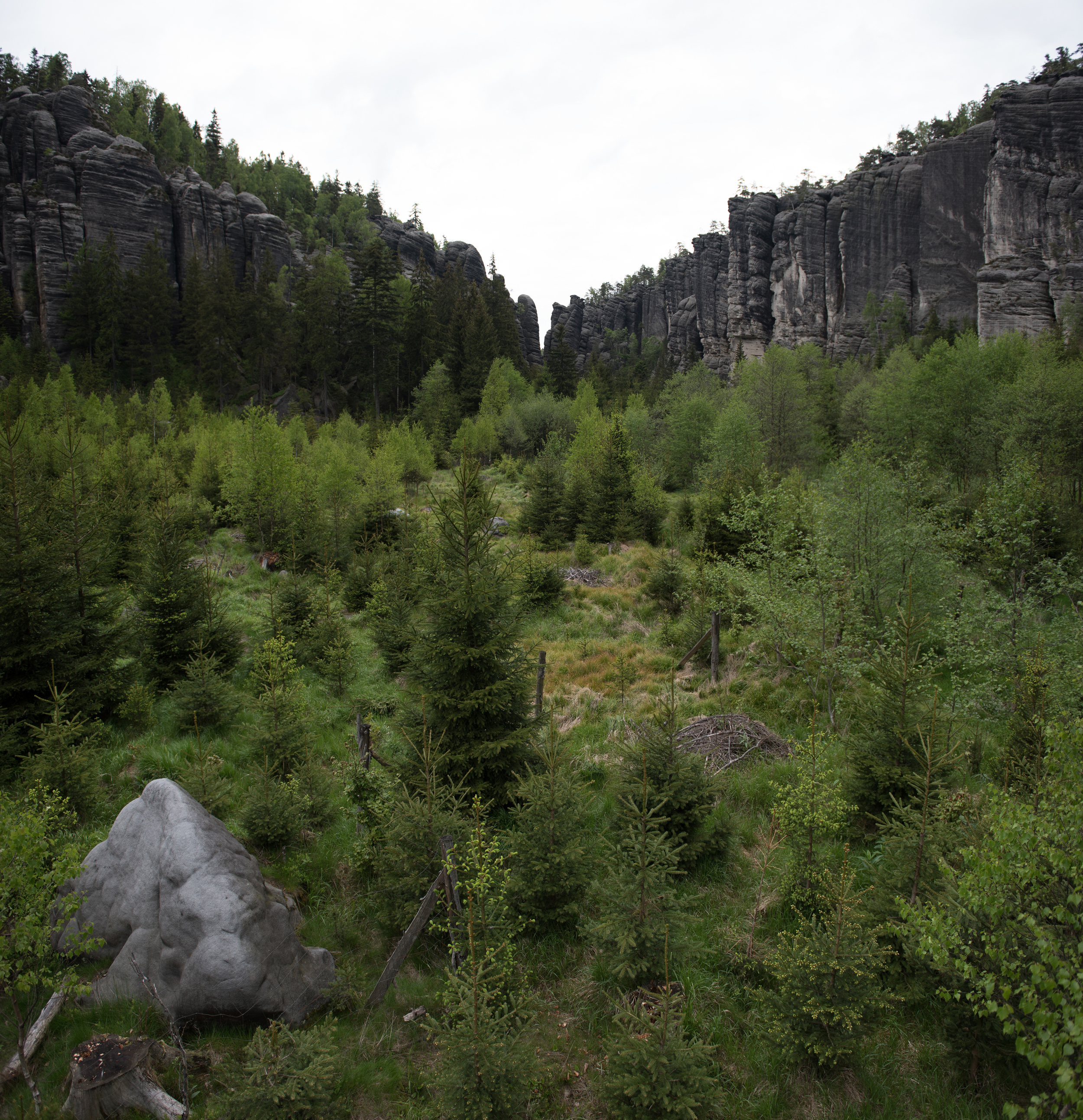 A valley in Teplice