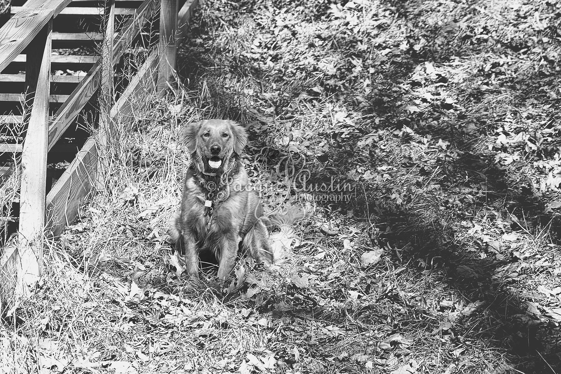 edited IMG_7576 bw.jpg