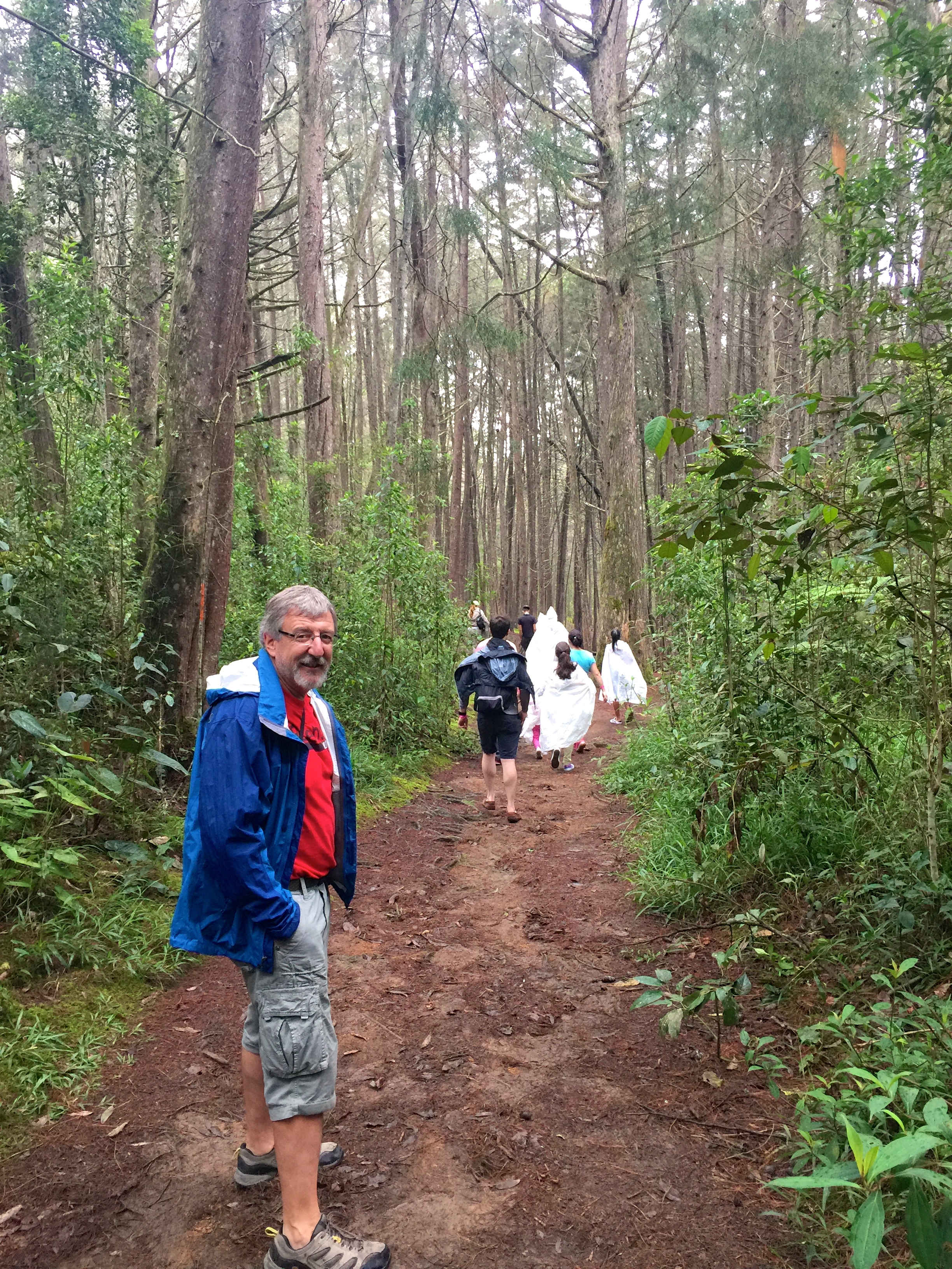Hiking tour in Arvi Park.