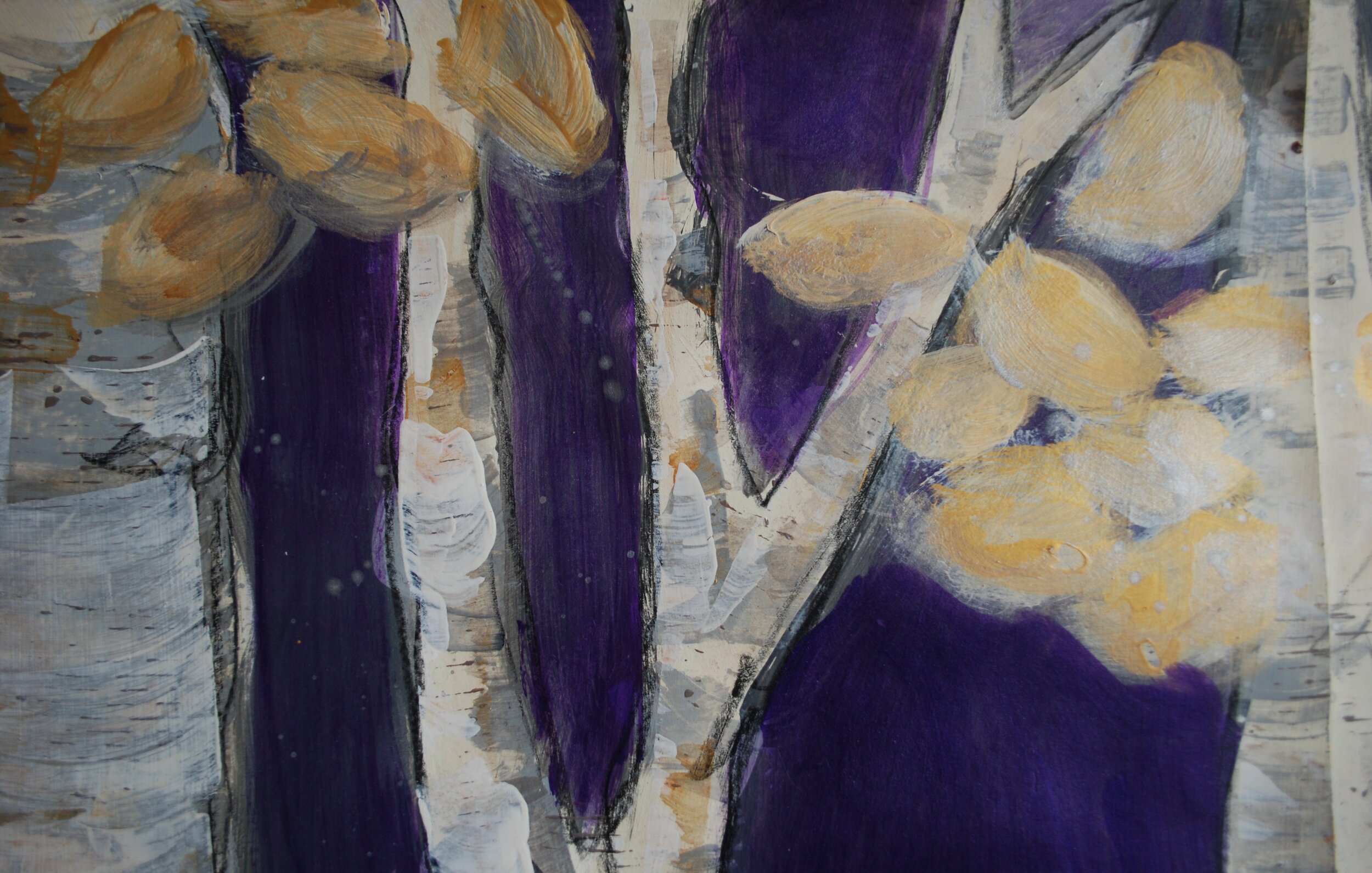 Photos - 5 of 7.jpeg