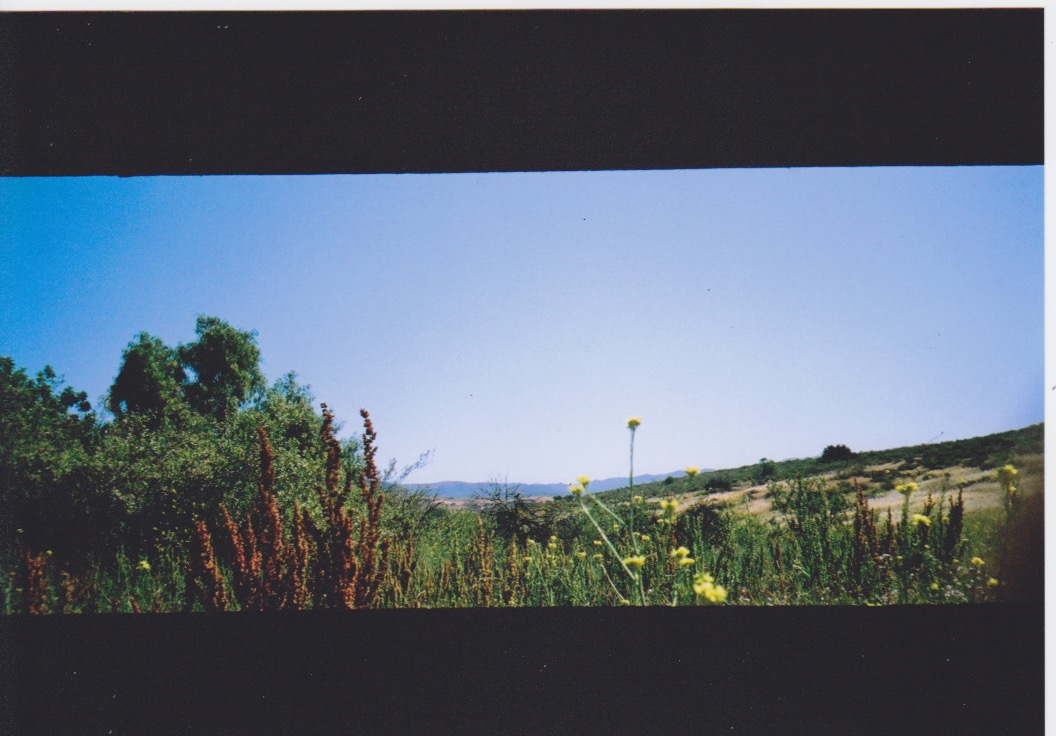 Ricky-J-Hernandez-35mm-AGFA-Ultra-Film-ASA-50-100-400-April-May-2015-PIX-Panorama-F11-One125-Sec 4.jpeg