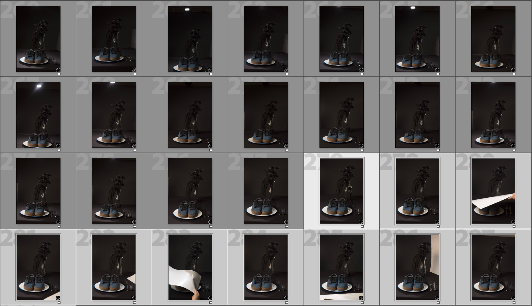 The images used to make one. 