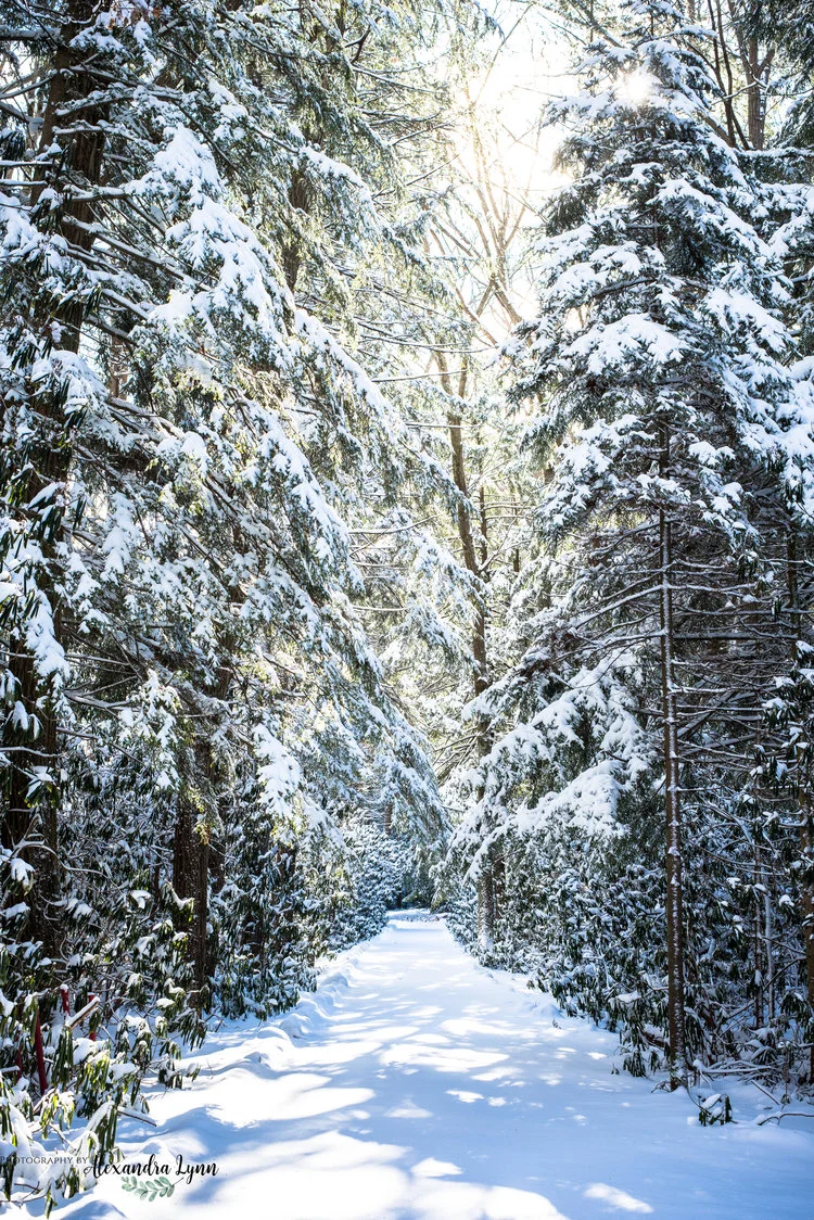 Cabin Number Five- A Gateway Lodge Getaway 