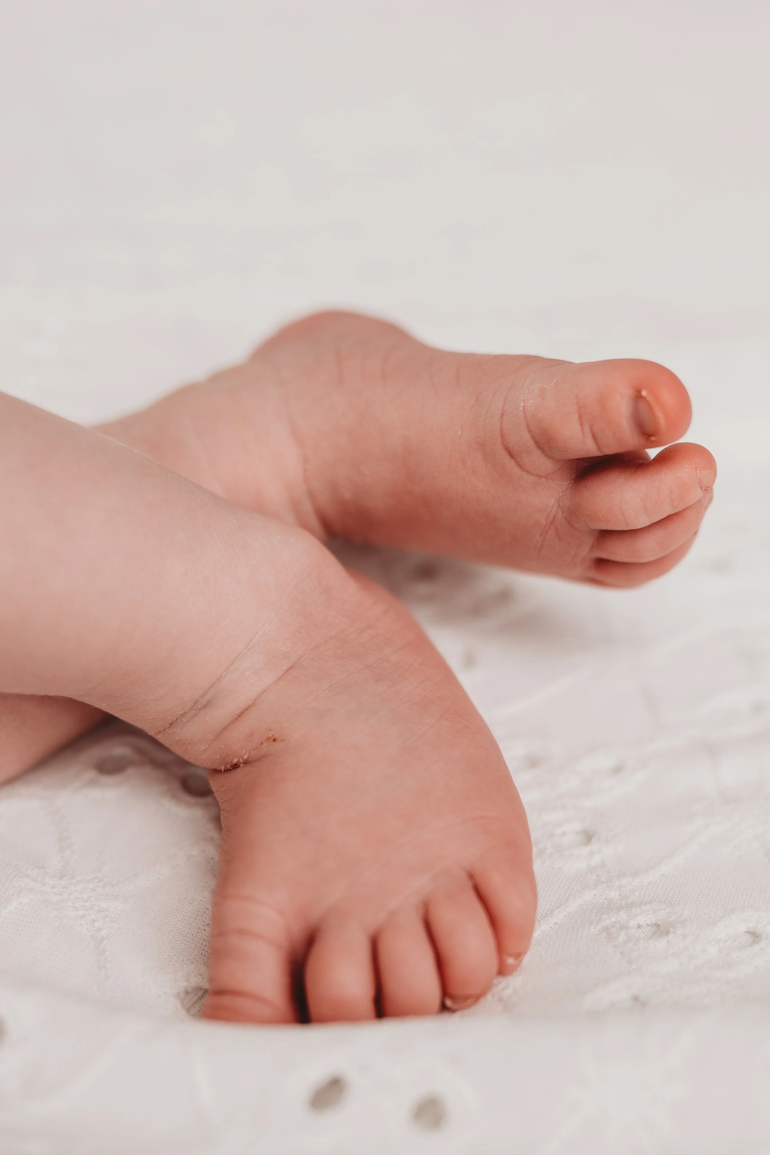 Cranberry twp newborn photogapher, cranberry twp newborn photography, wexford newborn photography, wexford newborn photographer, butler newborn photography, butler newborn photographer. pittsburgh newborn photography, pittsburgh newborn photographer
