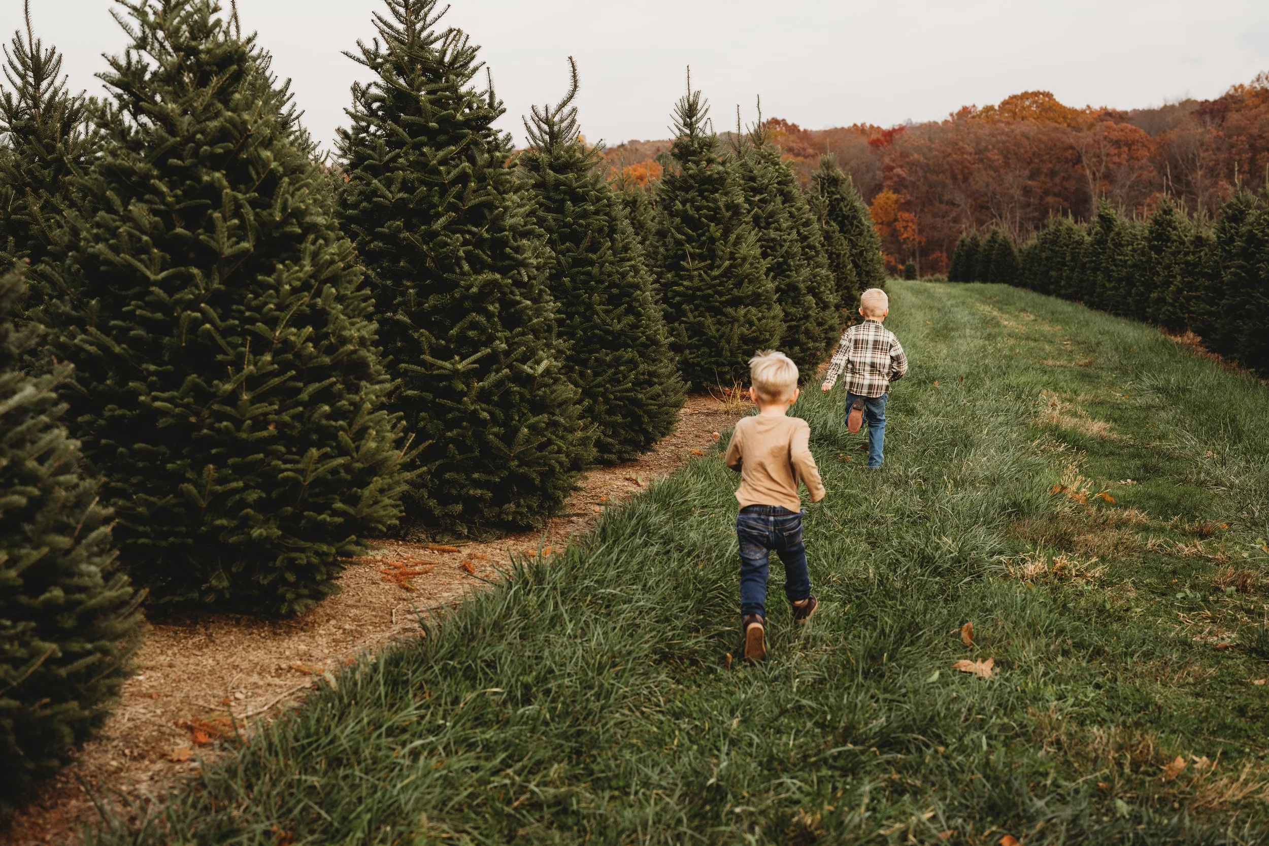 Cranberry twp family photographer, wexford family photographer, pittsburgh family photographer, butler family photographer,