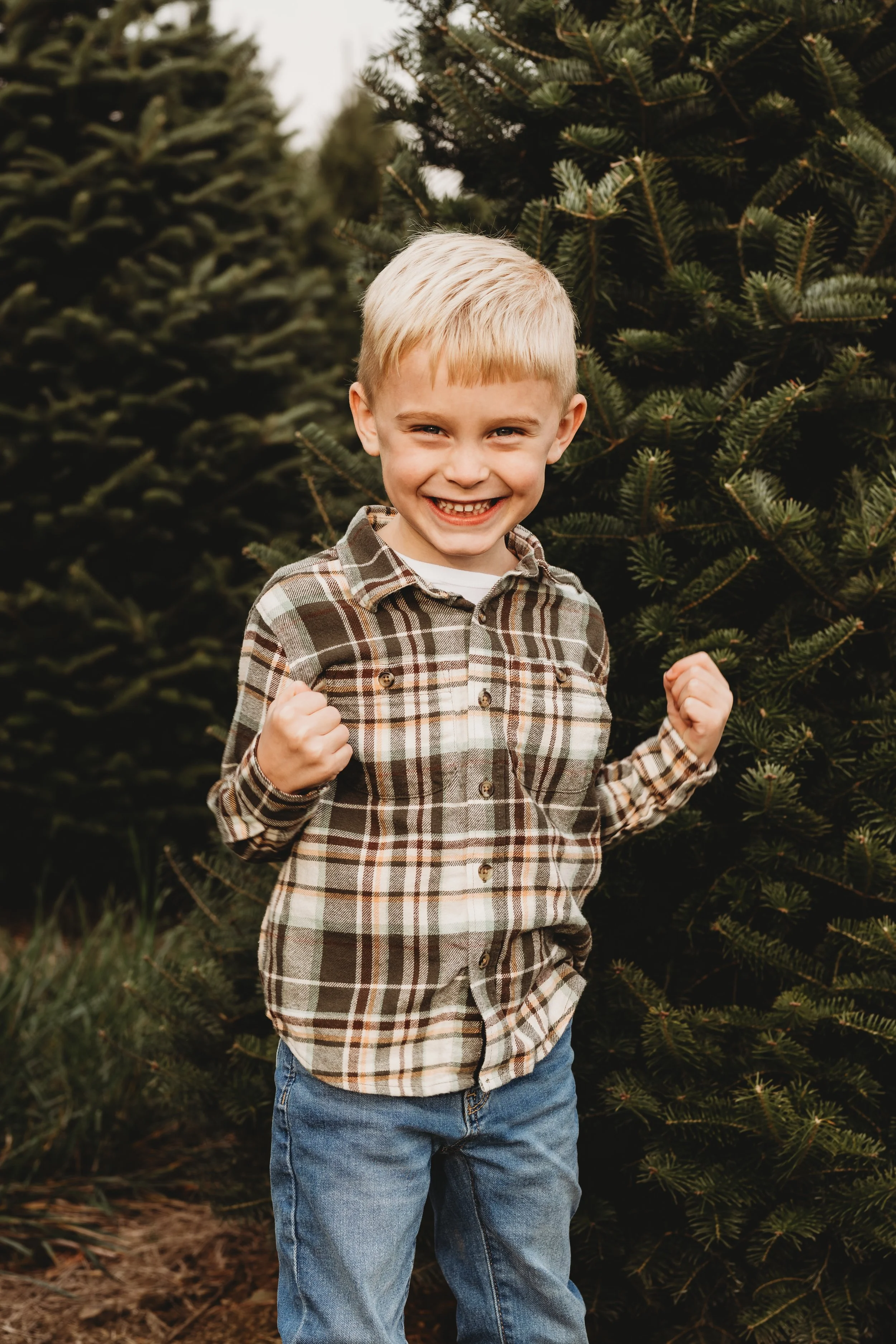 Cranberry twp family photographer, wexford family photographer, pittsburgh family photographer, butler family photographer,