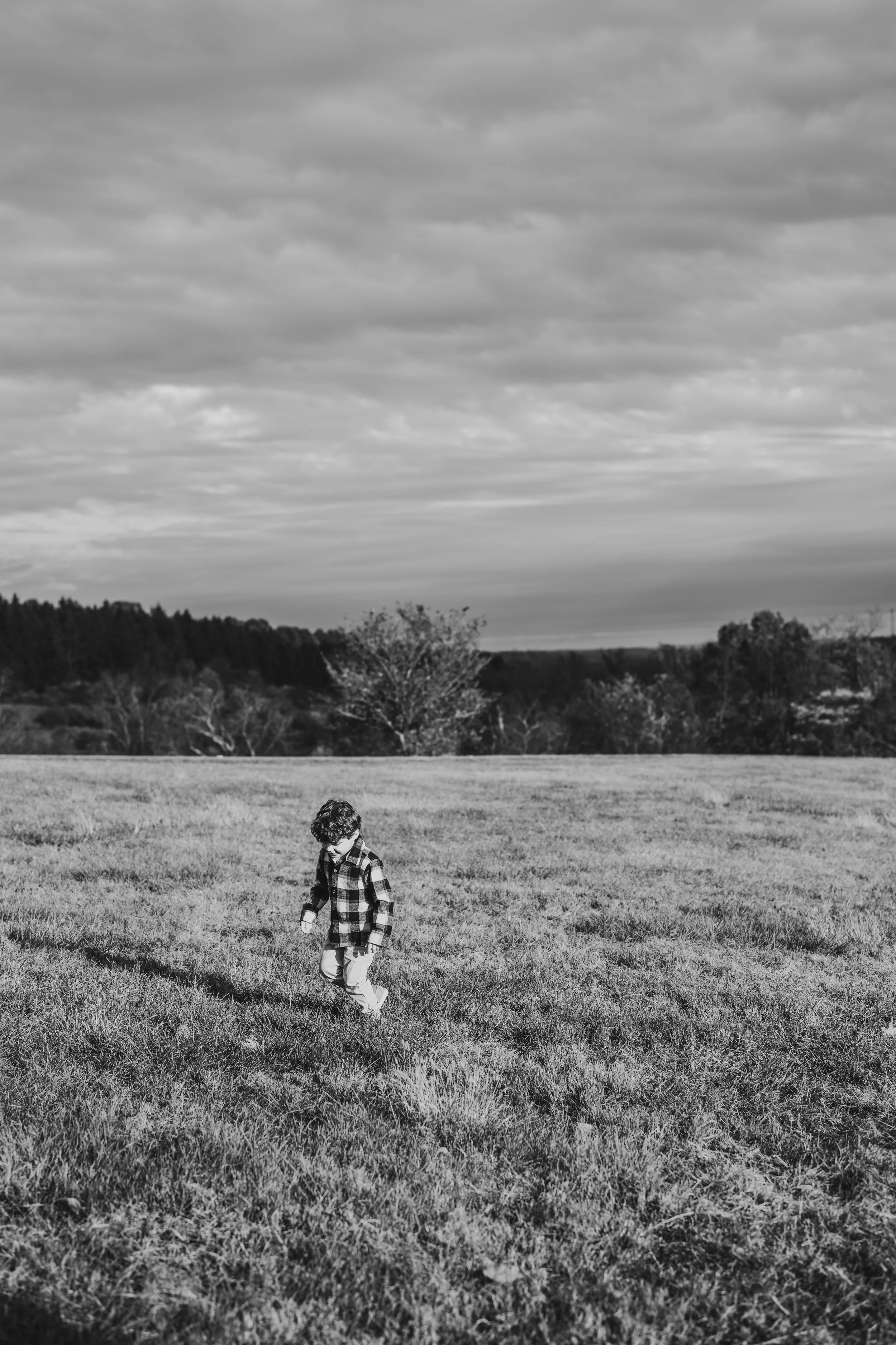 Pittsburgh Family Photographer, Cranberry twp family photographer, butler family photographer