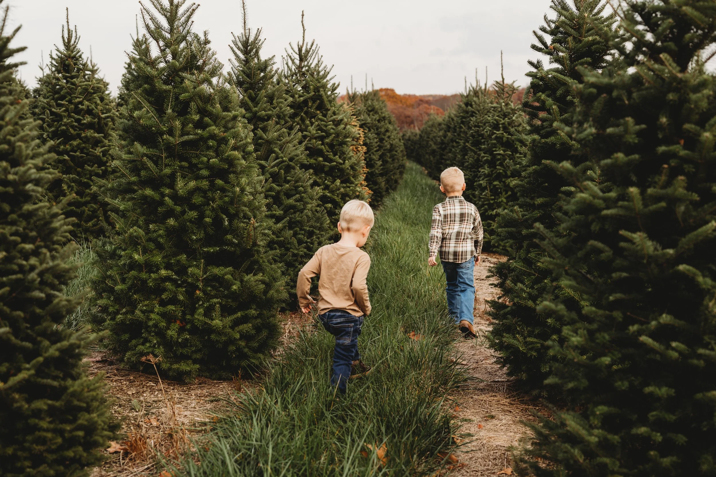Cranberry twp family photographer, wexford family photographer, pittsburgh family photographer, butler family photographer,